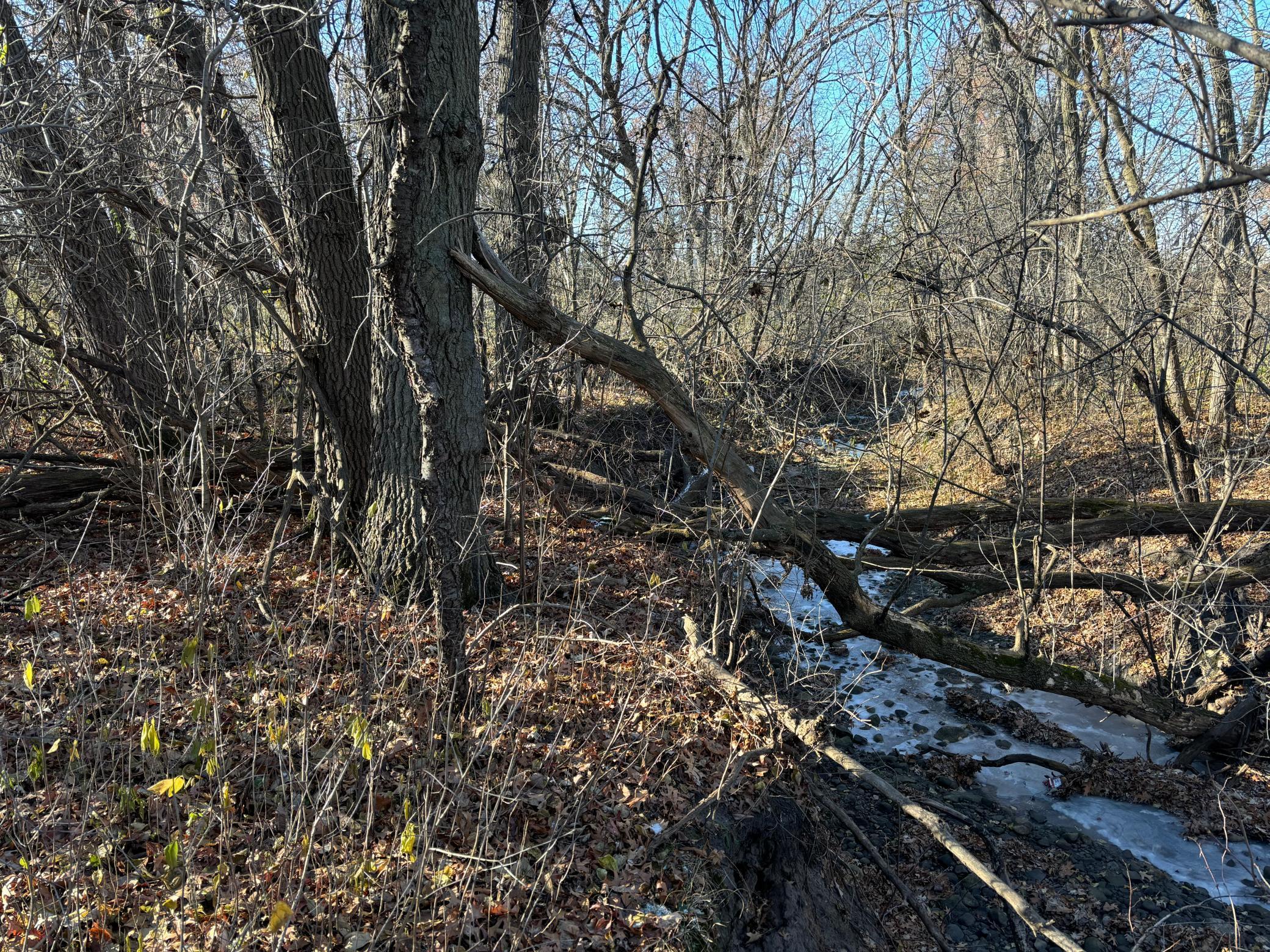 201 High Drive Property Photo 7