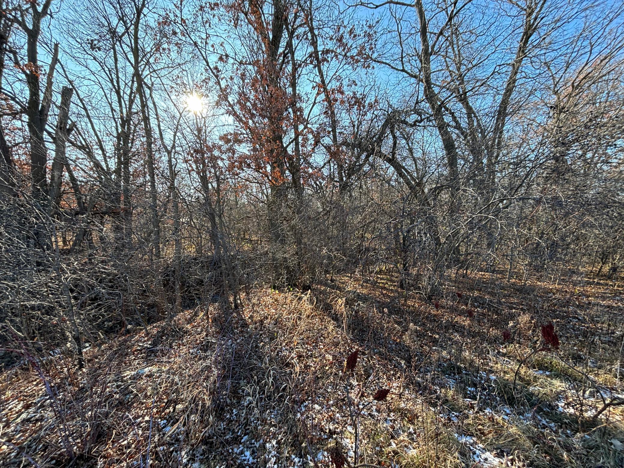201 High Drive Property Photo 8
