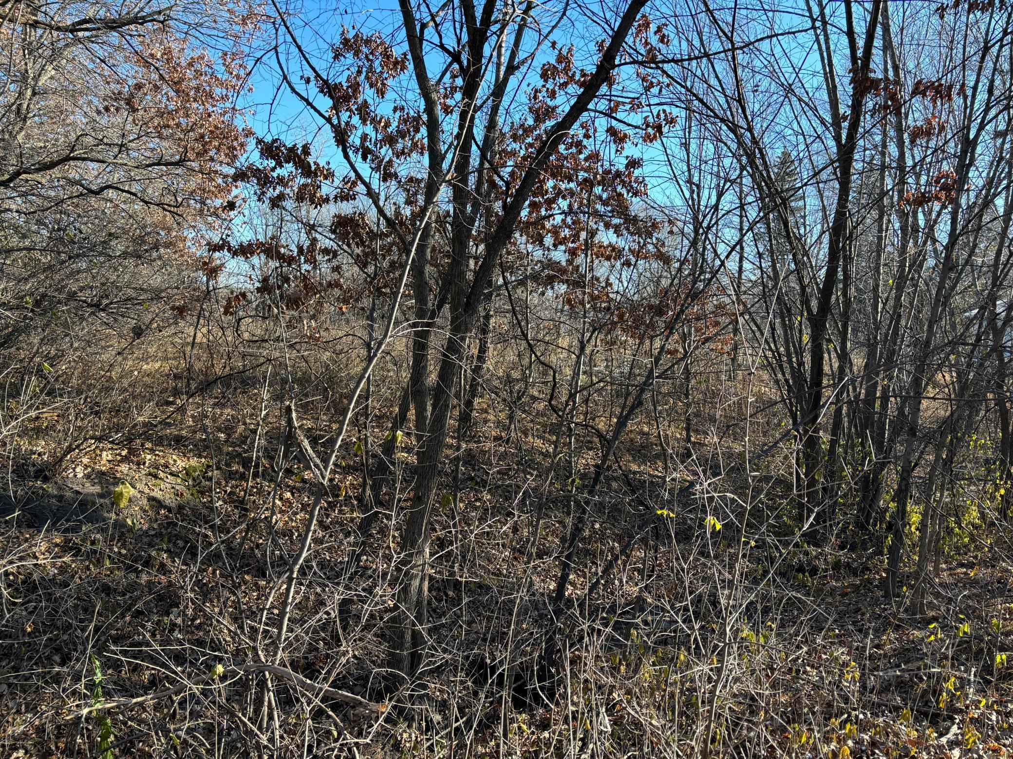 201 High Drive Property Photo 9