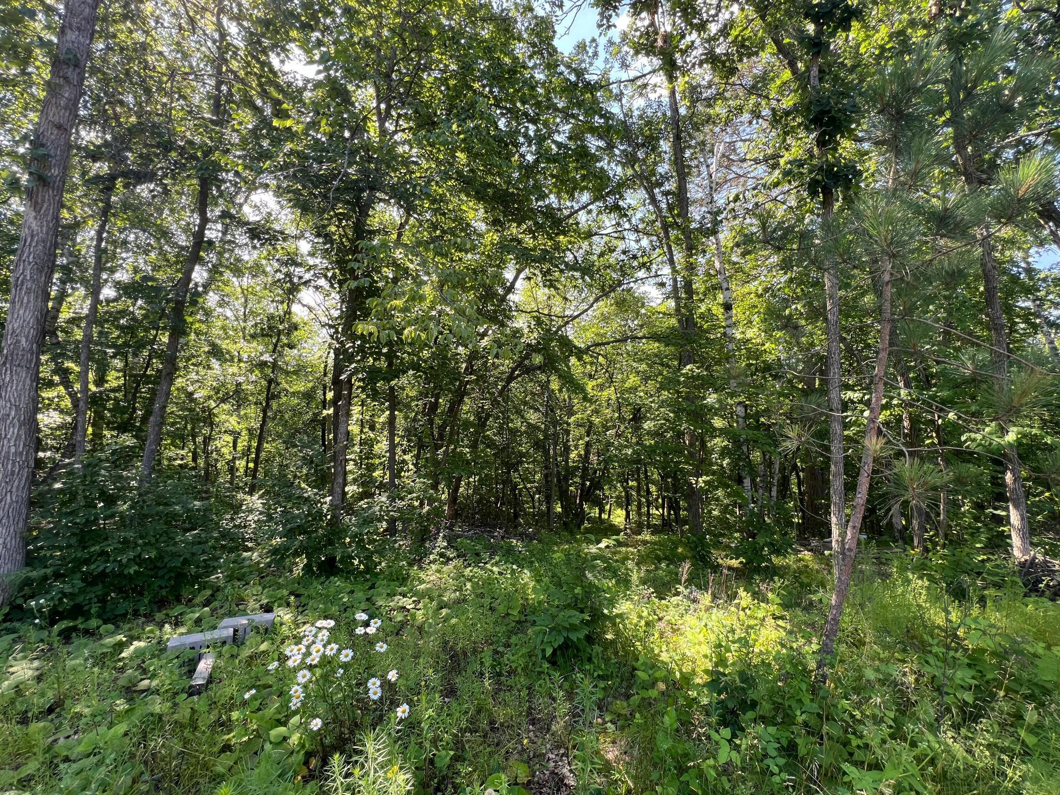 23847 Arcade Loop Property Photo 5