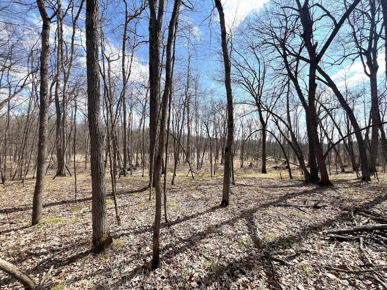 23847 Arcade Loop Property Photo 28