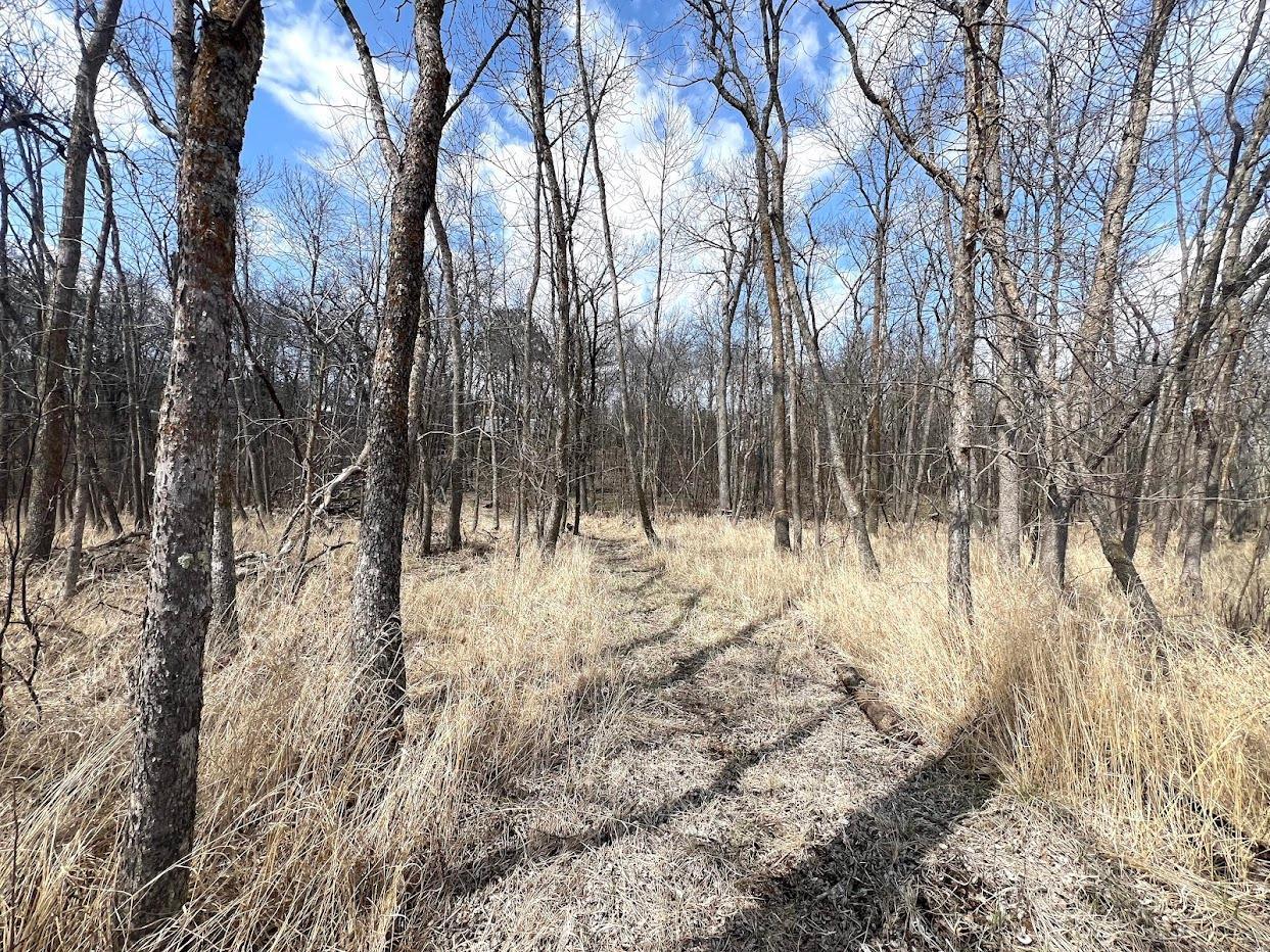 23847 Arcade Loop Property Photo 30