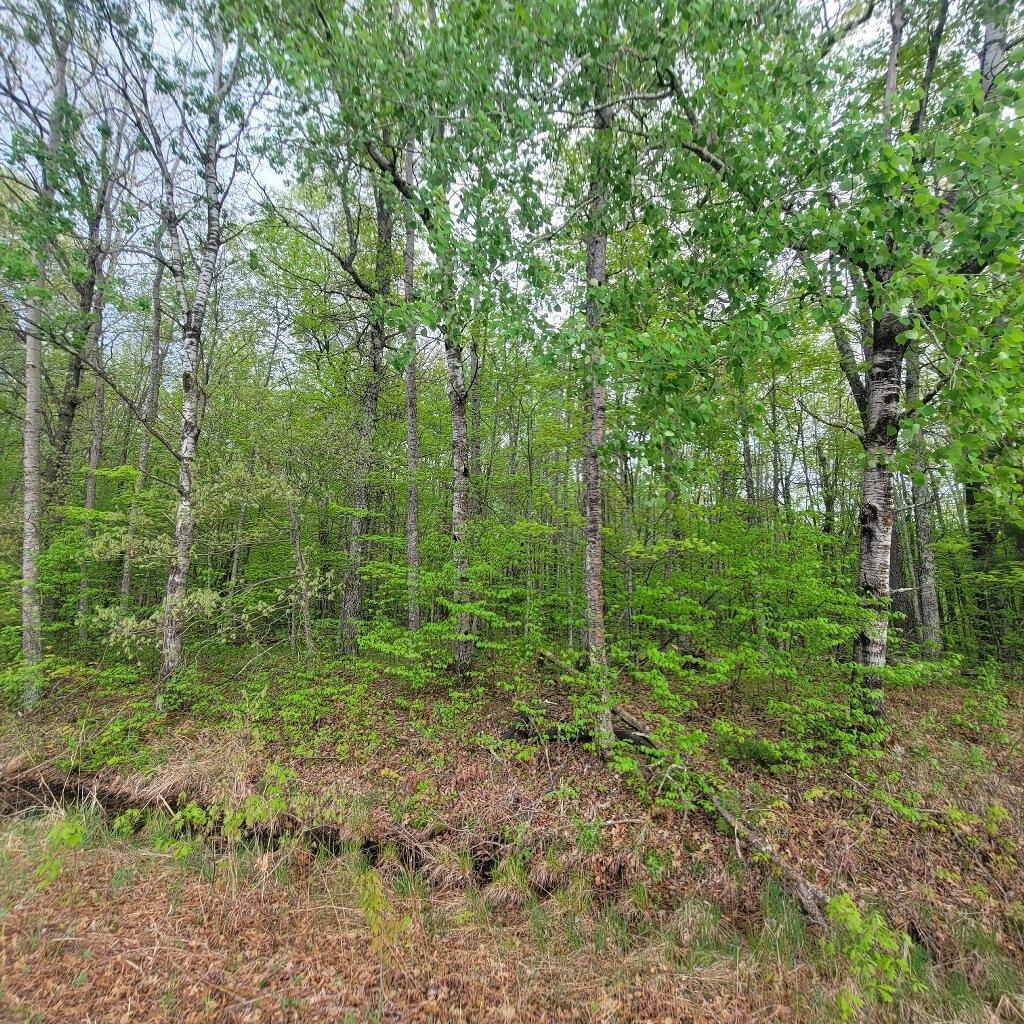 Lot 10 County Road A Property Photo 1