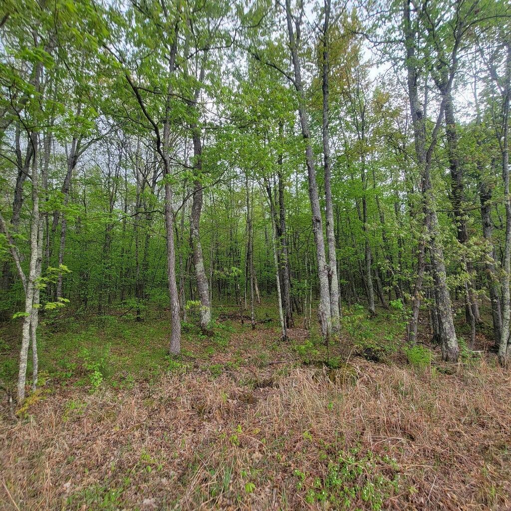 Lot 11 County Road A