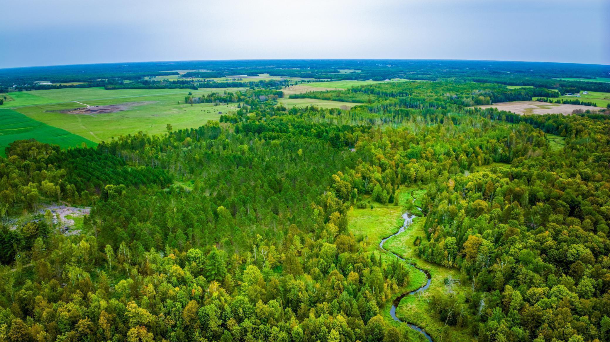 Lot 2 N Blackduck Lake Road Ne Property Photo 1