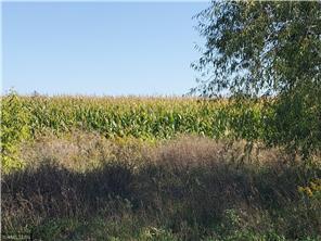 1137 178th St./dalton Farm Road, Lot 17 Property Photo 1