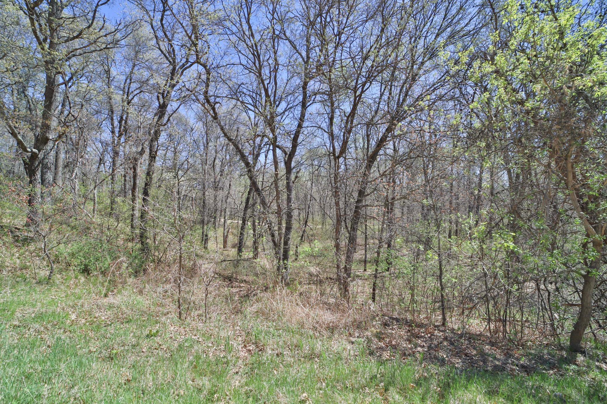 Tbd Cedar St Property Photo 3