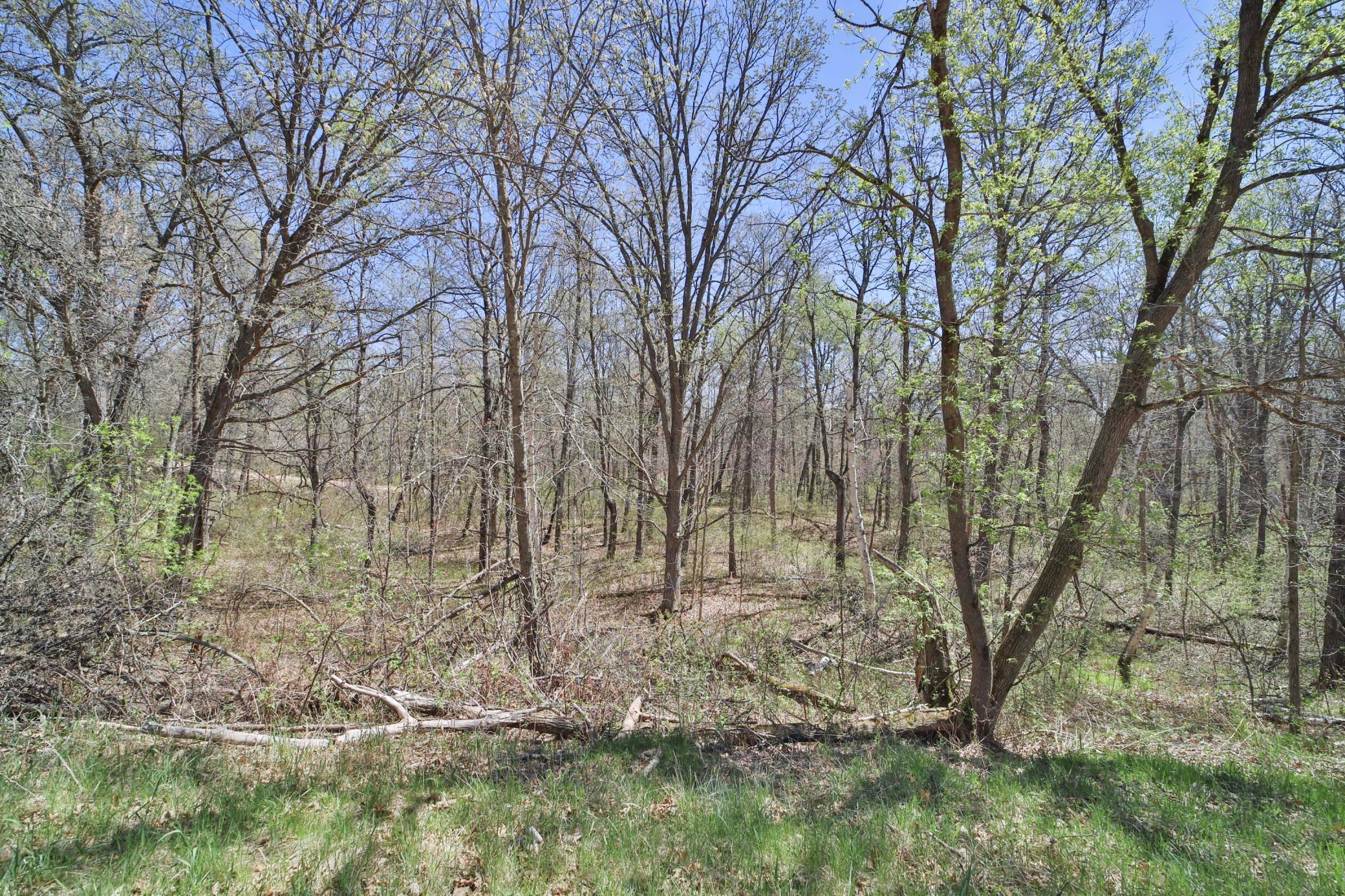 Tbd Cedar St Property Photo 4