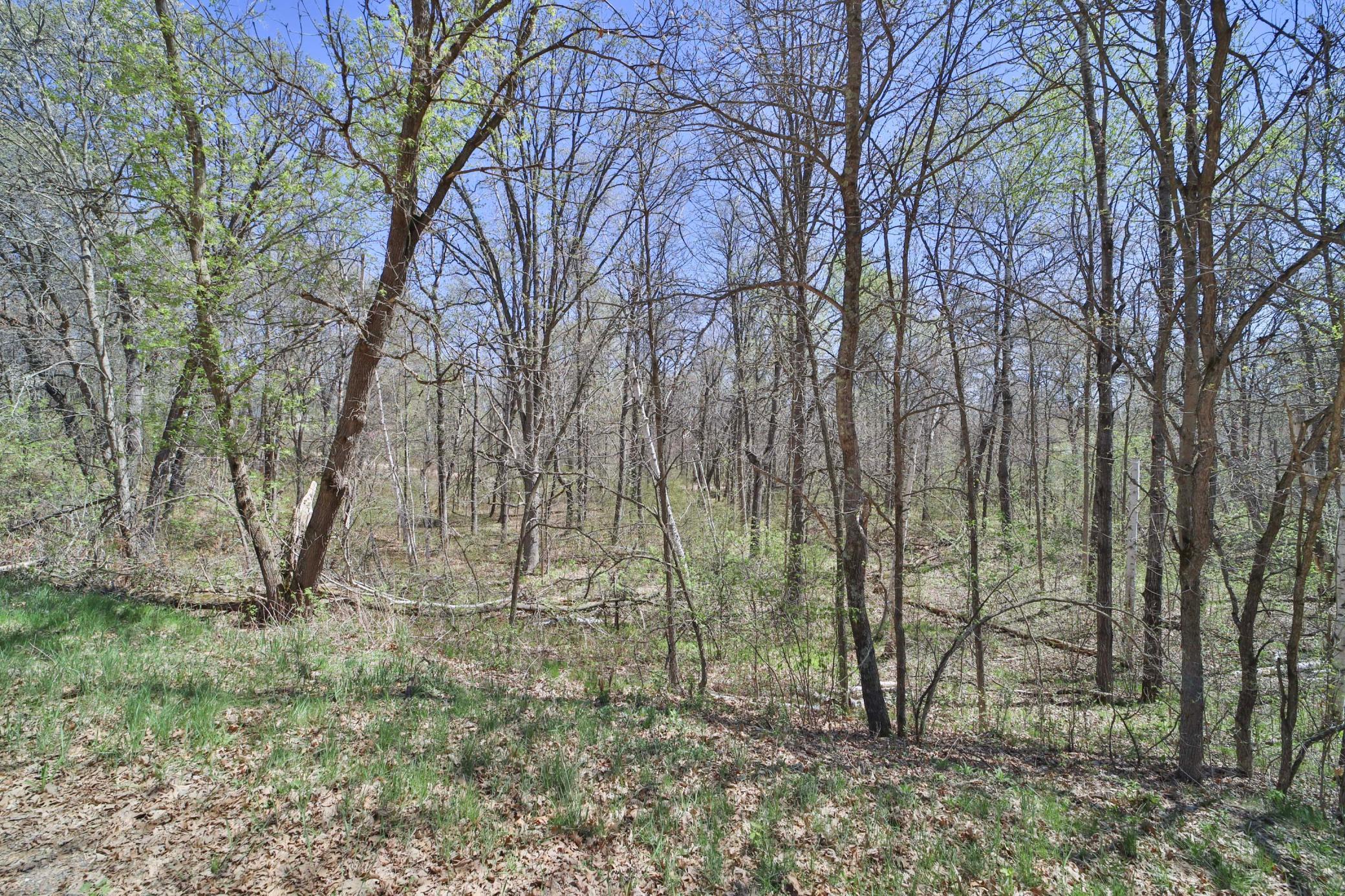 Tbd Cedar St Property Photo 5