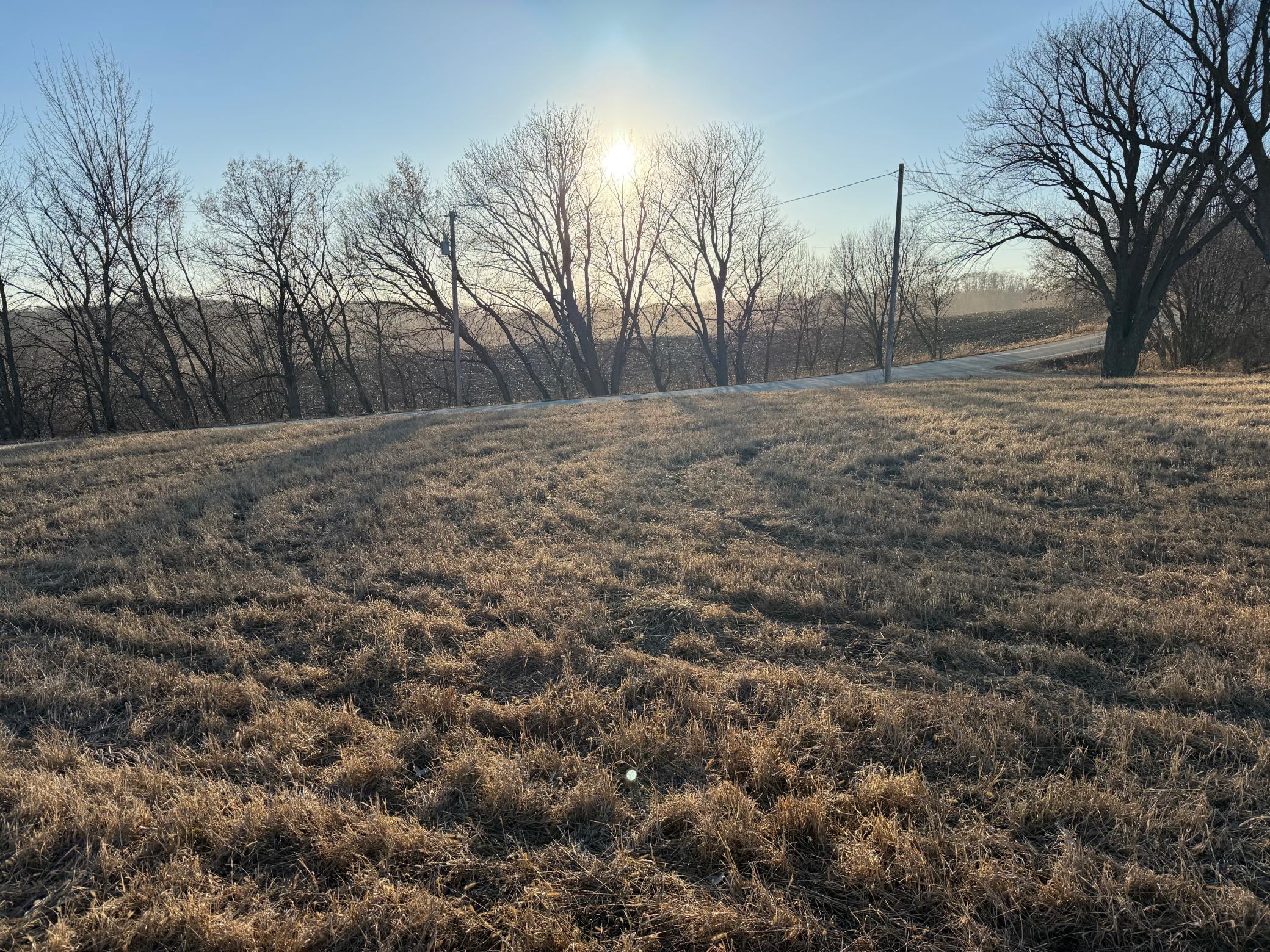Lot 1 Block 1 460th Street Property Photo 6
