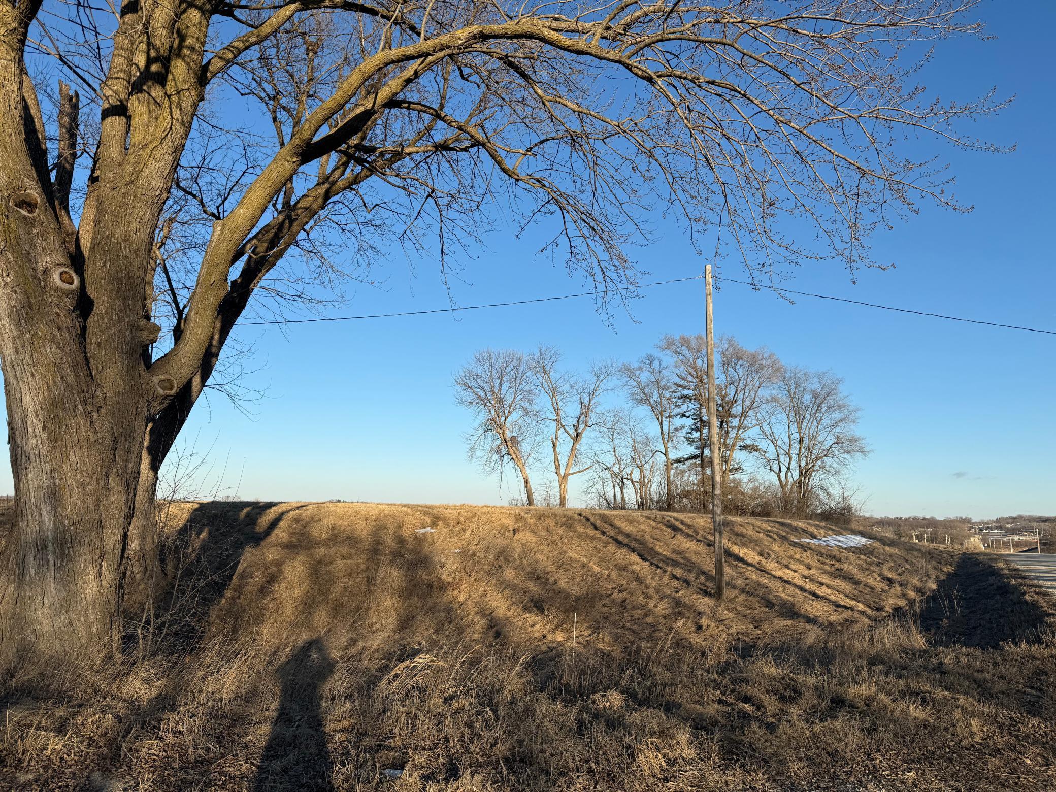Lot 1 Block 1 460th Street Property Photo 8