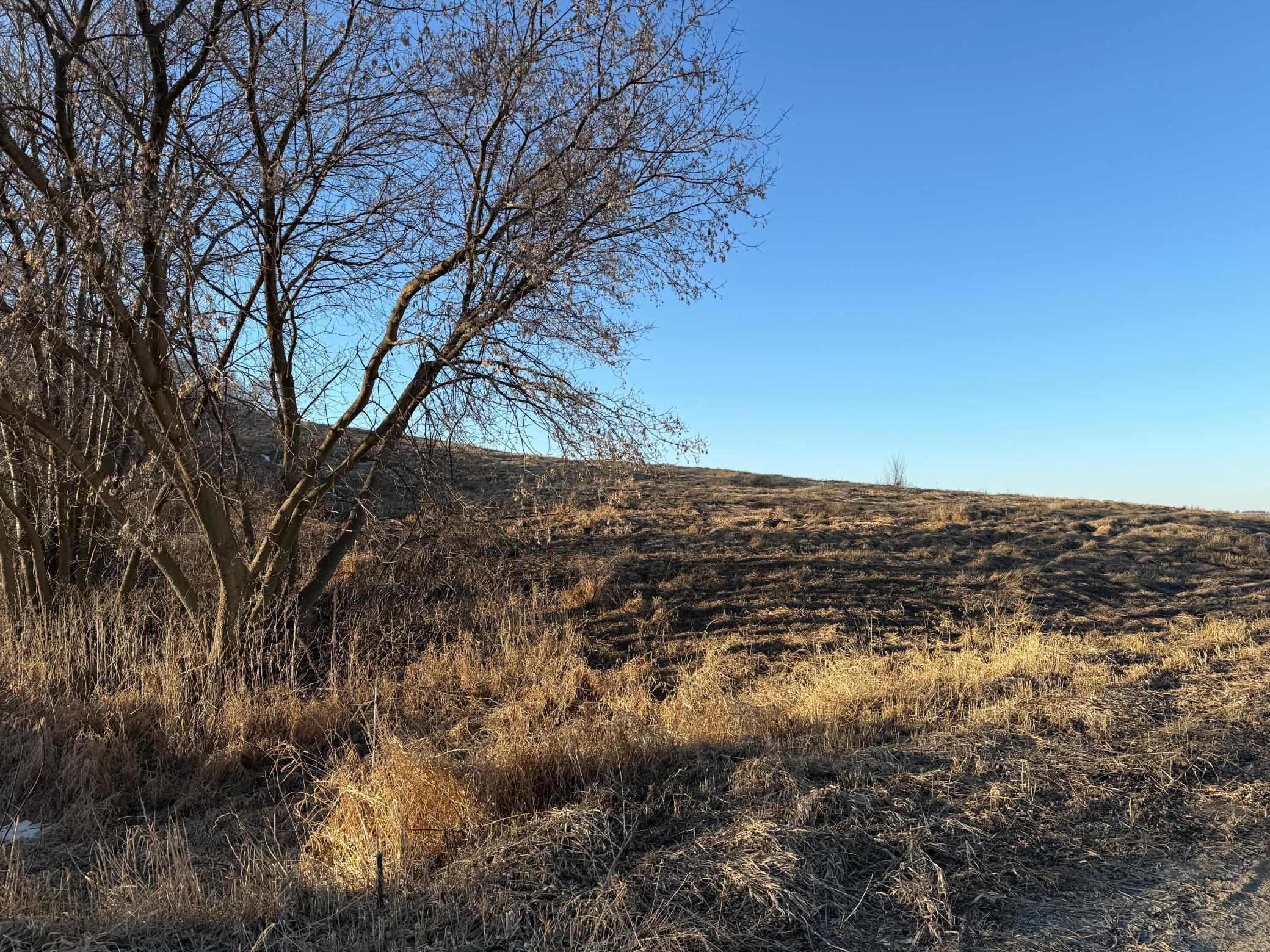 Lot 1 Block 1 460th Street Property Photo 9