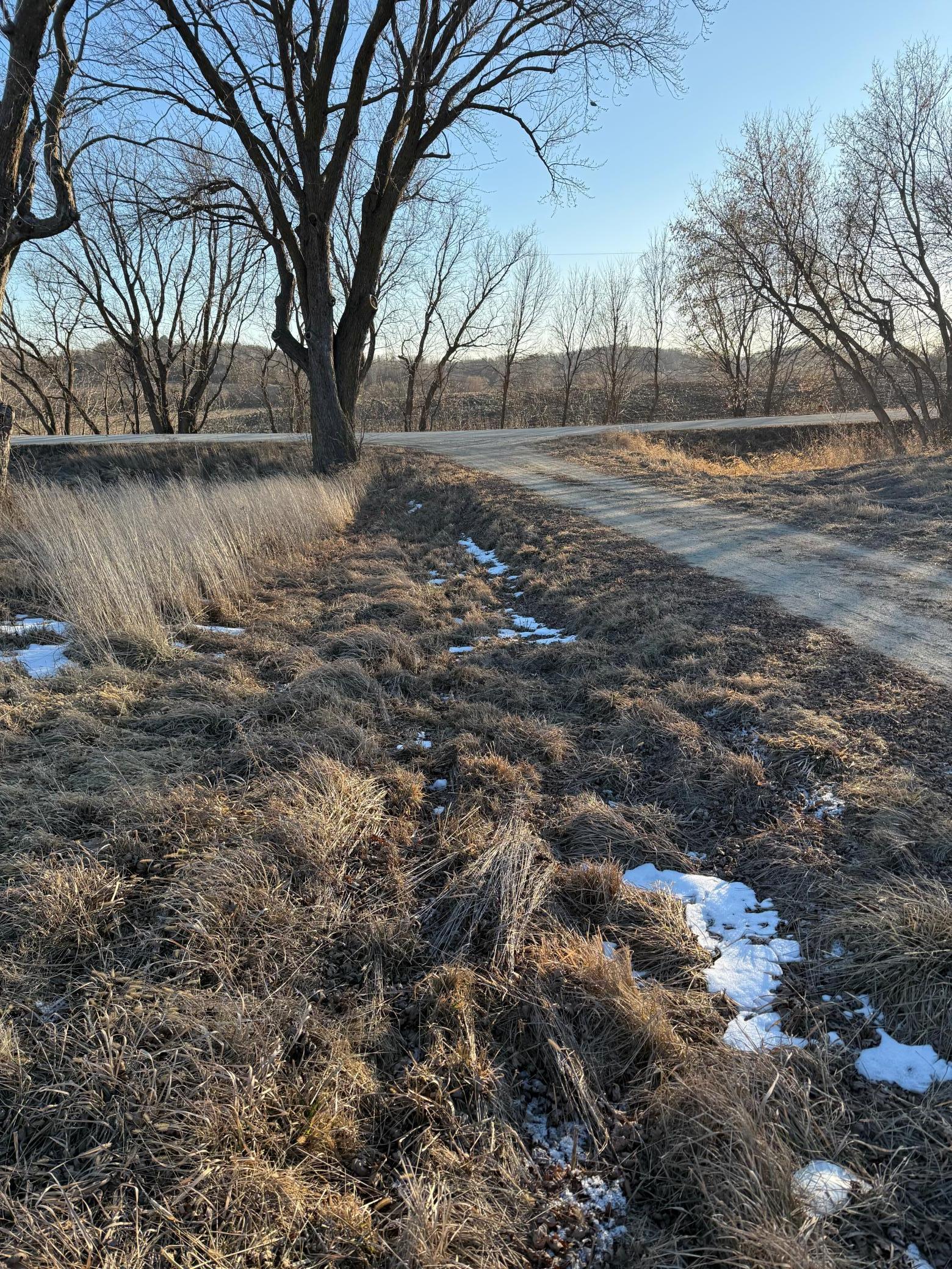 Lot 1 Block 1 460th Street Property Photo 10