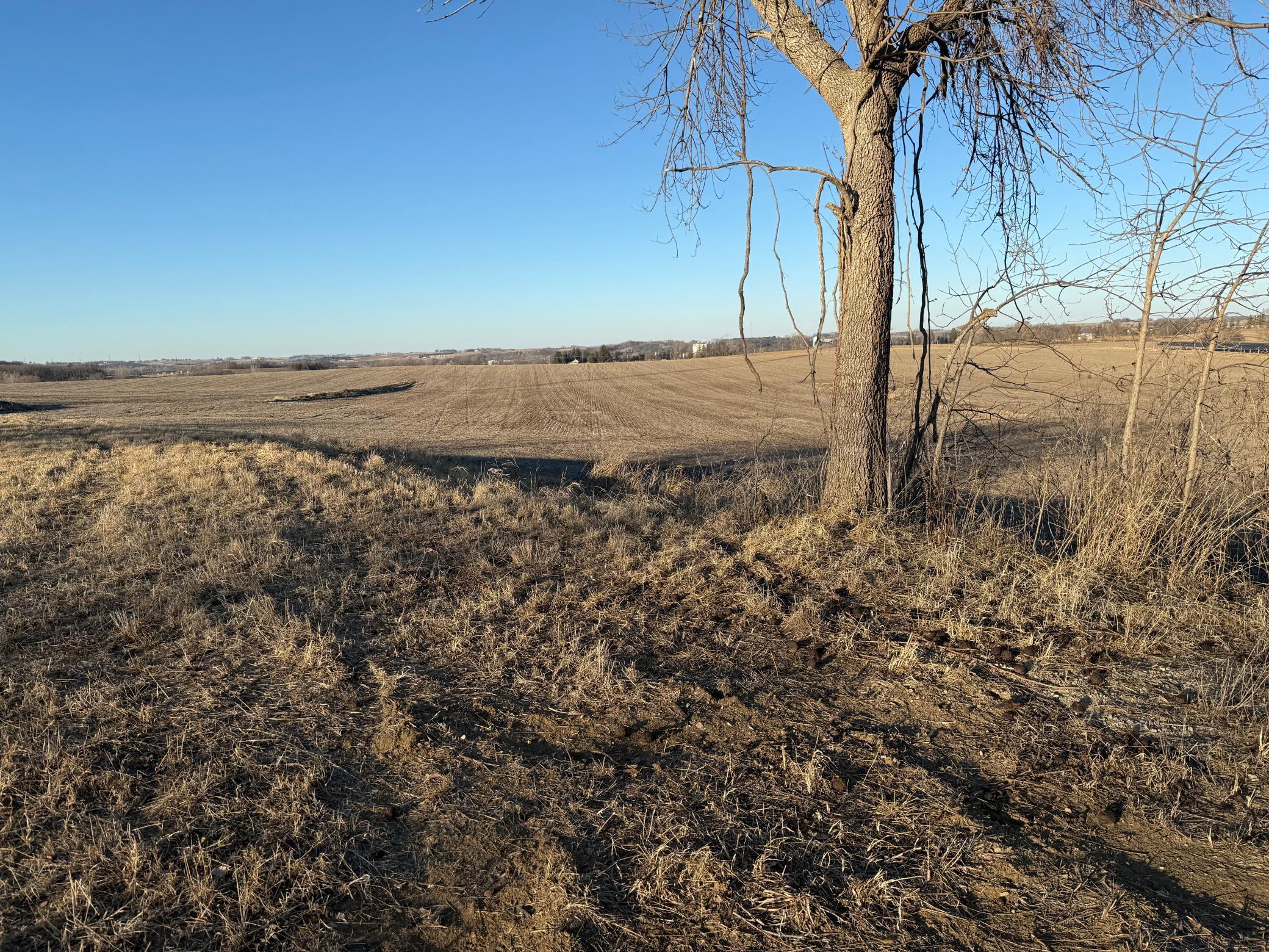 Lot 1 Block 1 460th Street Property Photo 17