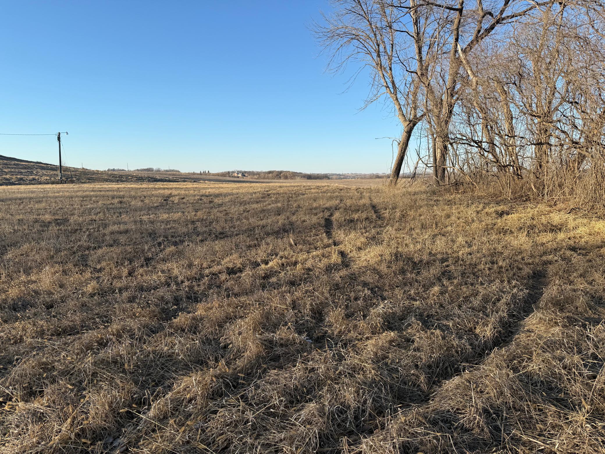 Lot 1 Block 1 460th Street Property Photo 20