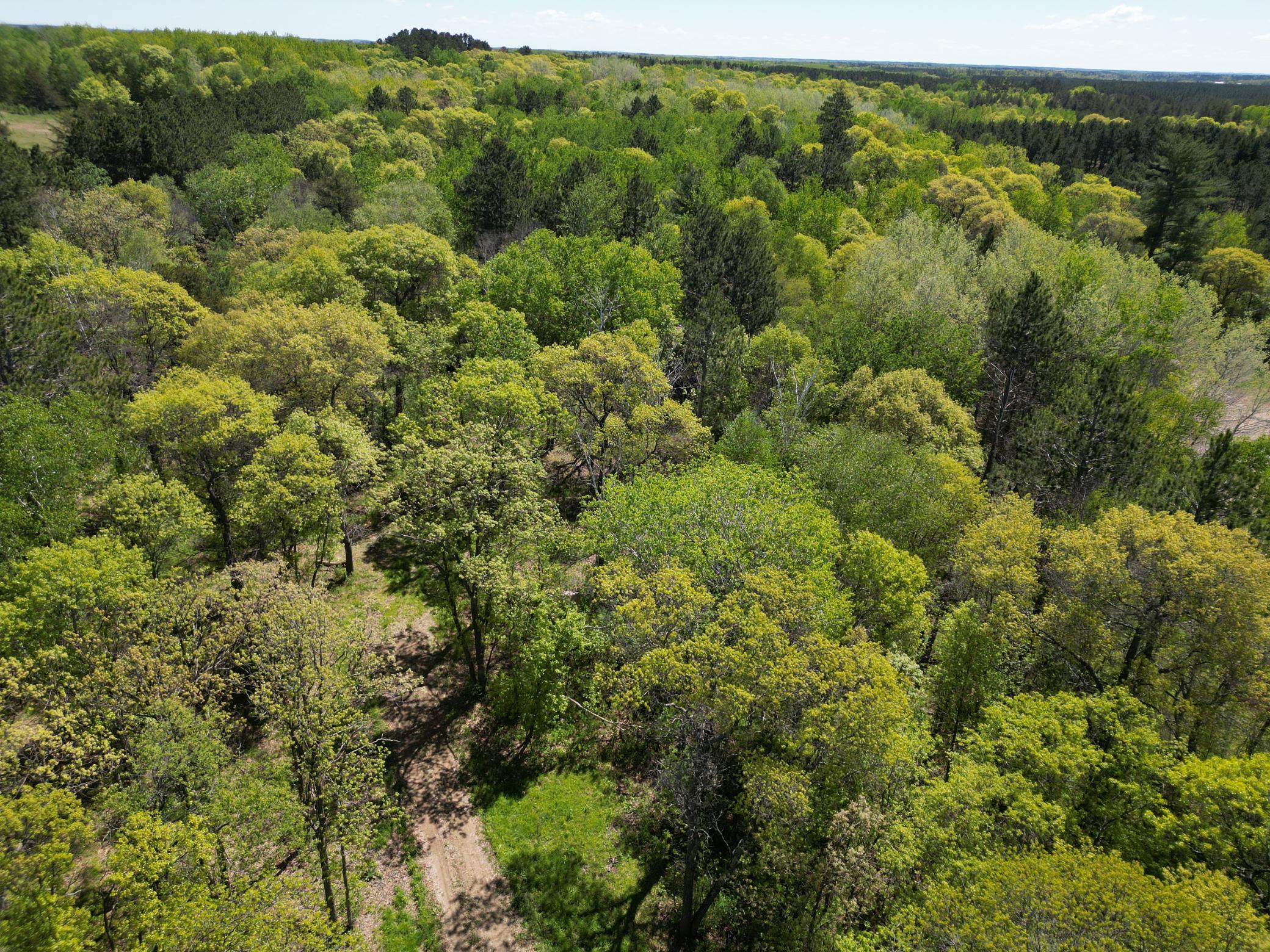 Tbd County 2 Property Photo 3