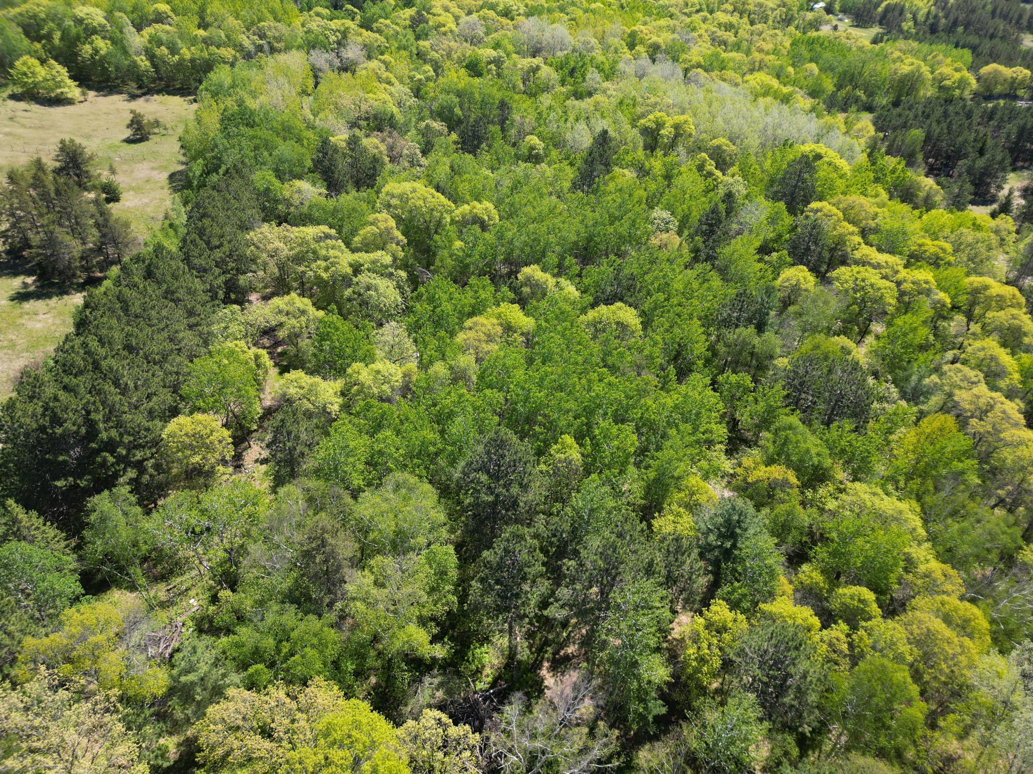 Tbd County 2 Property Photo 6