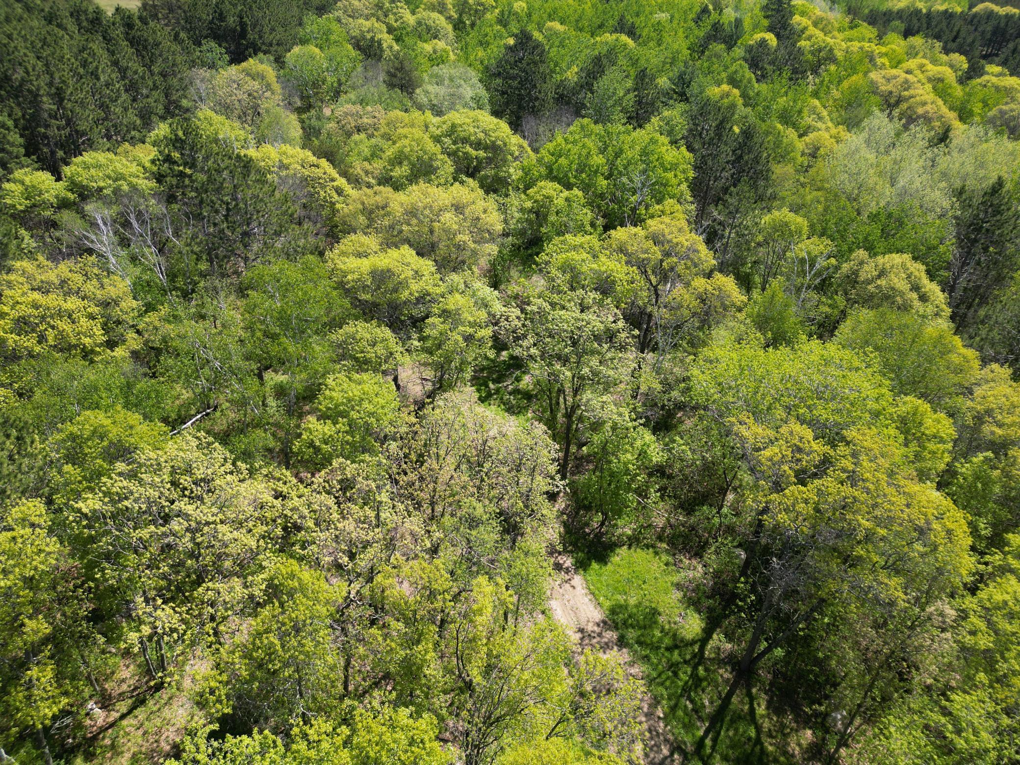 Tbd County 2 Property Photo 9