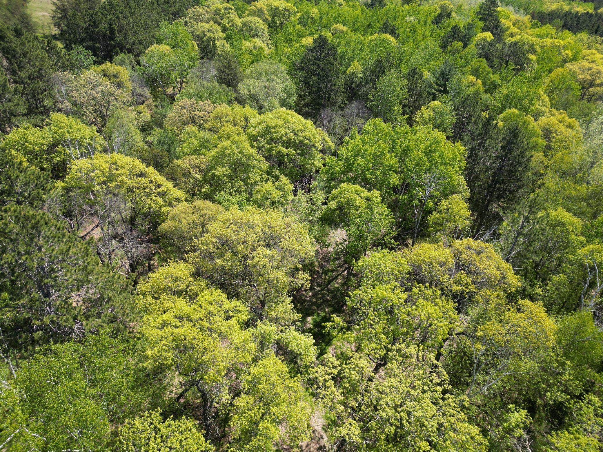 Tbd County 2 Property Photo 10
