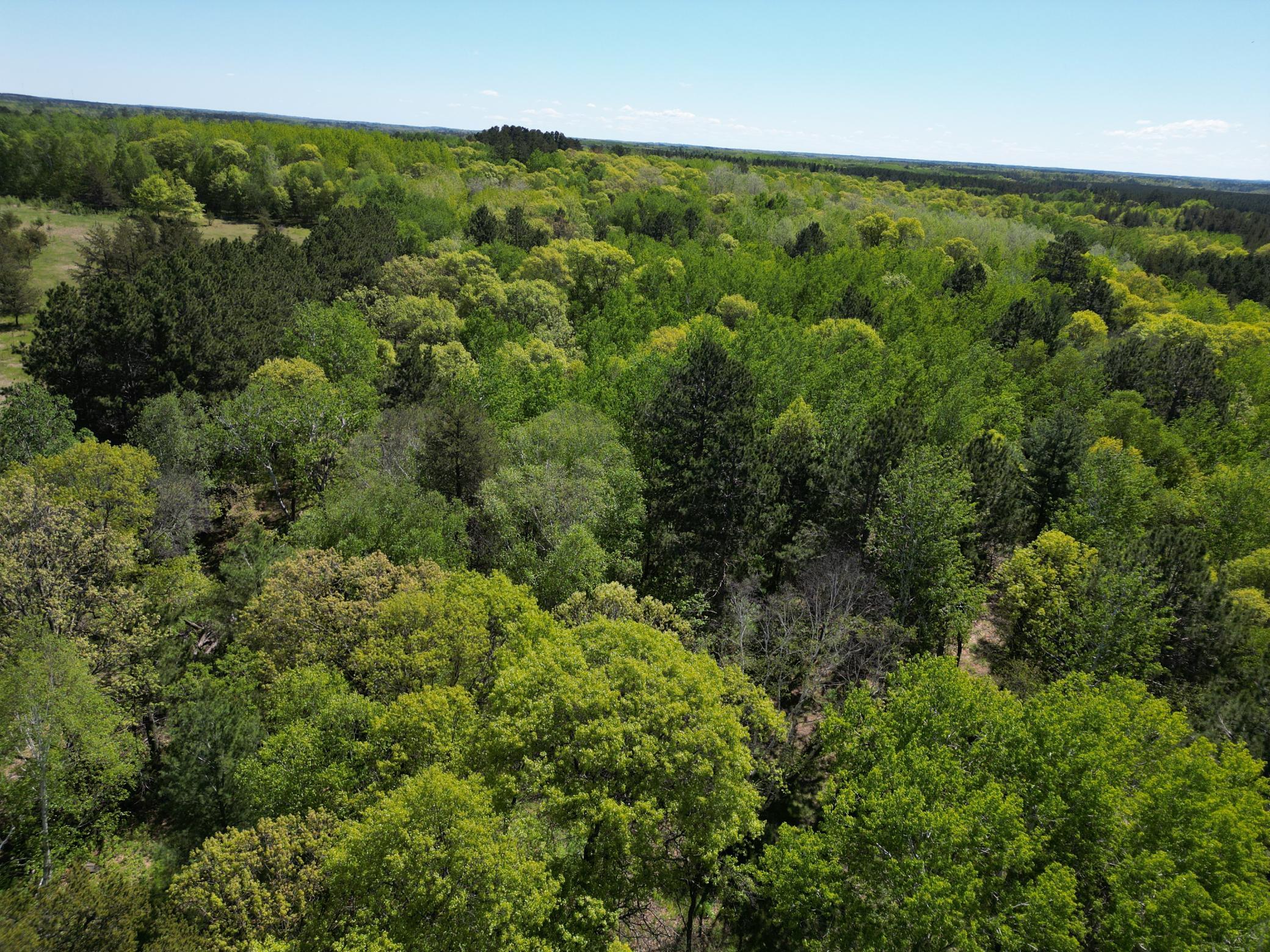Tbd County 2 Property Photo 11