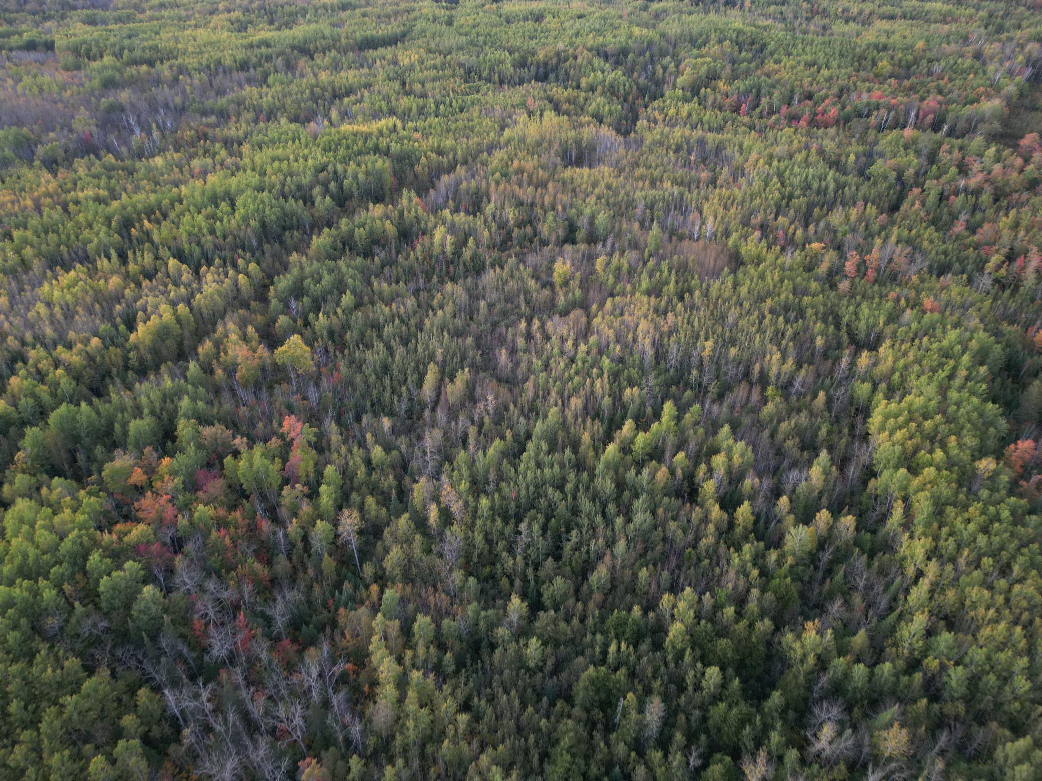 Tbd Us-71 Property Photo 1