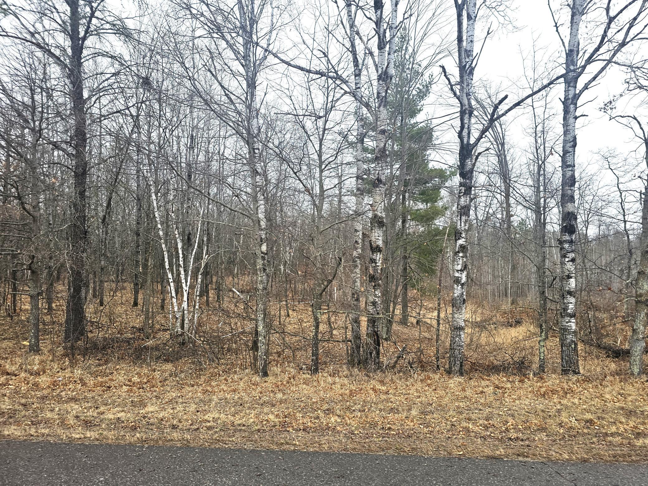 Parcel A County Road 36 Property Photo 5