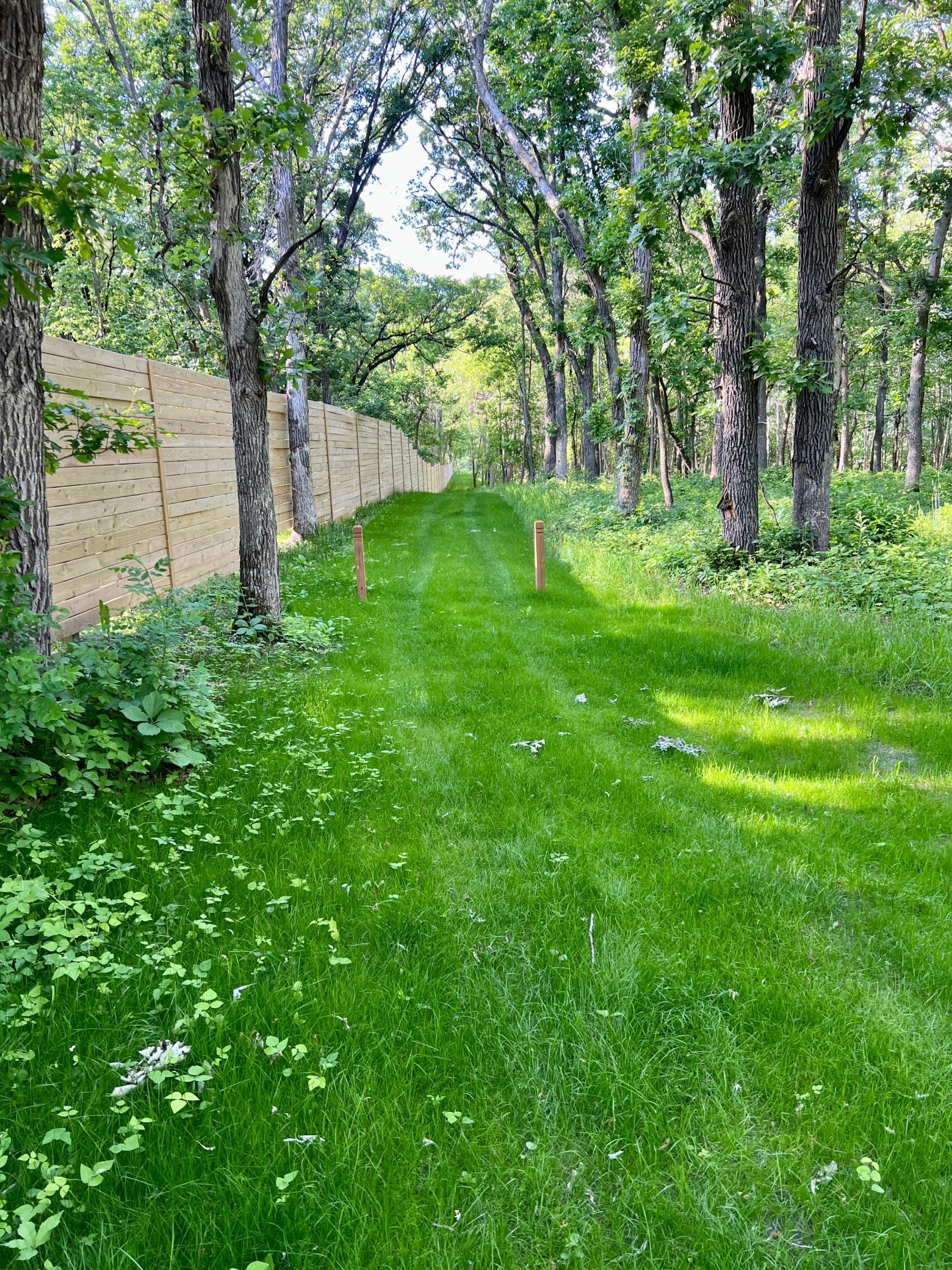 Lot F Norwood Lane Property Photo 3