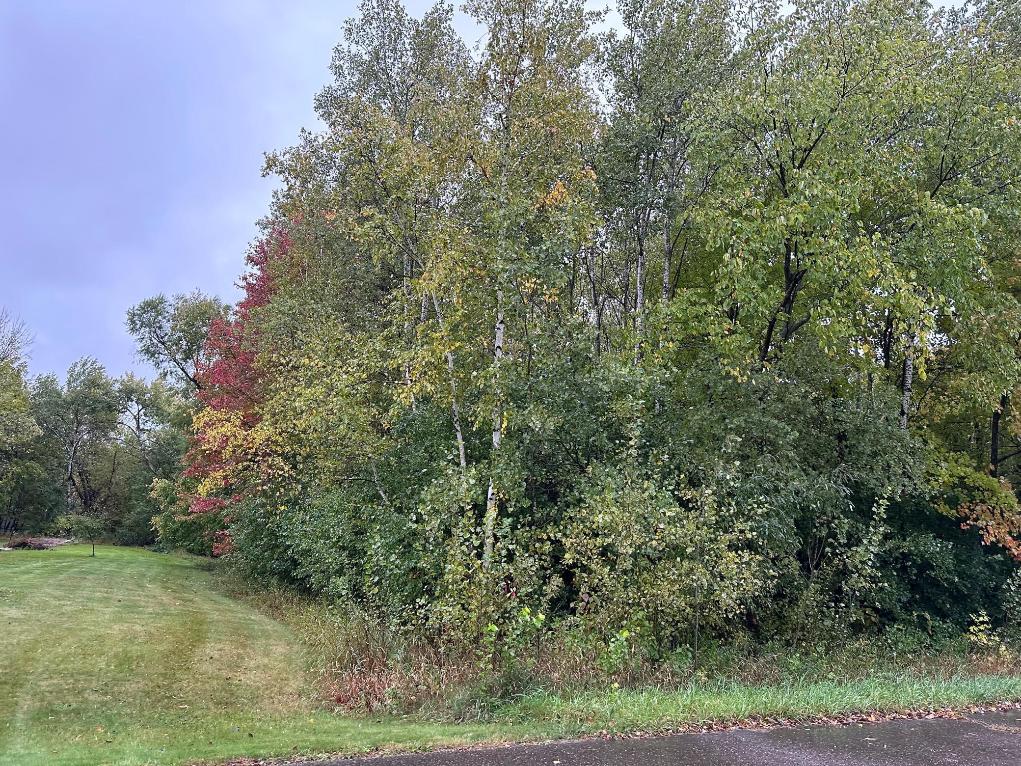 212 169th Avenue Property Photo 1