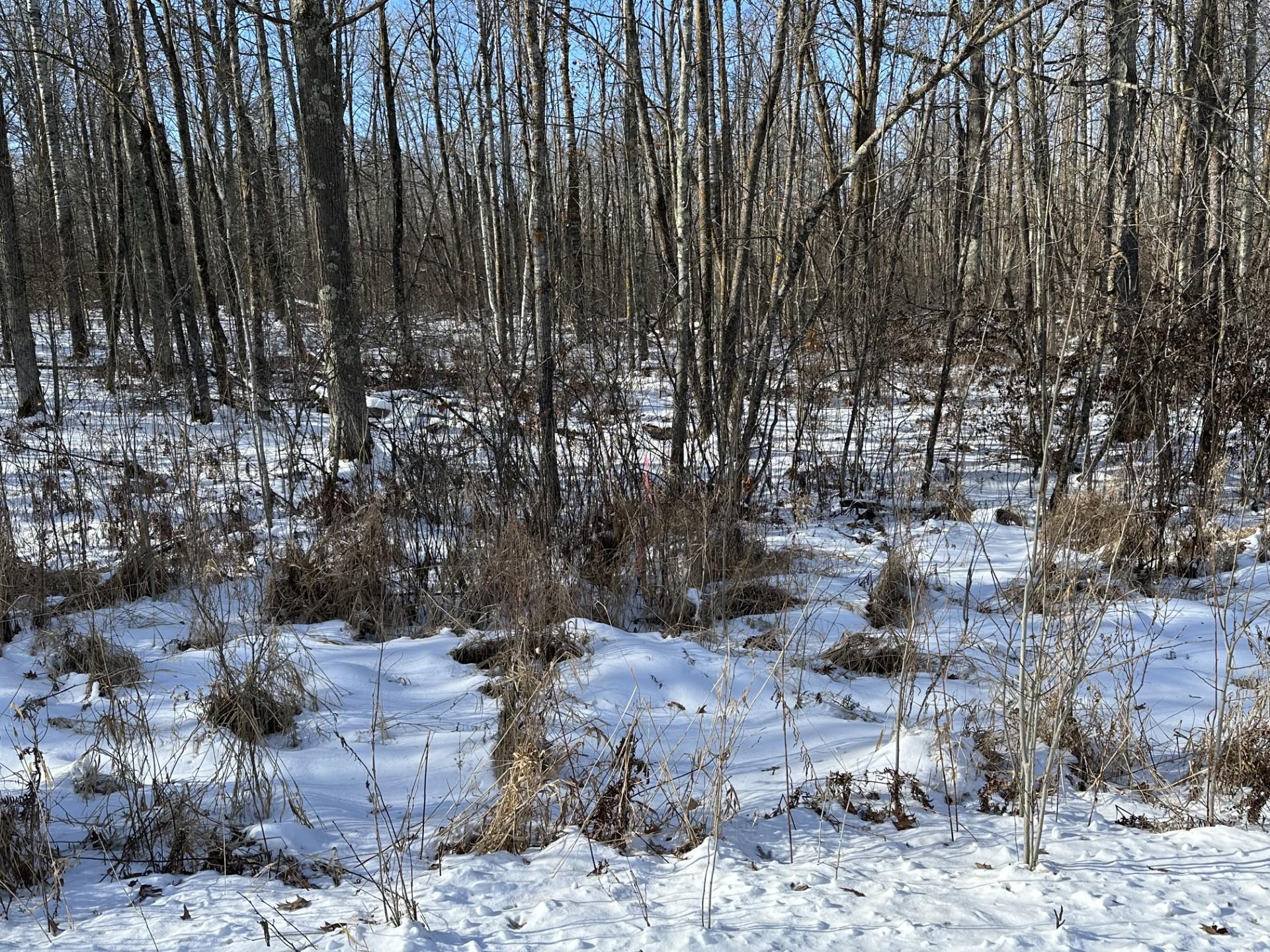 Xxx 348th Avenue Property Photo 28