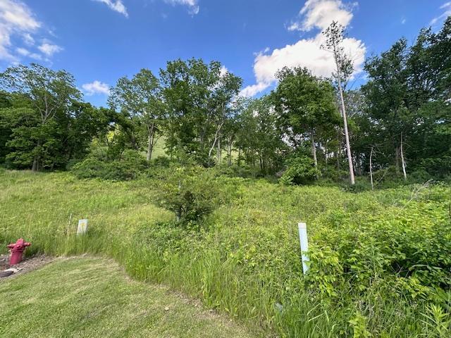 0 Novlan Avenue Property Photo 7