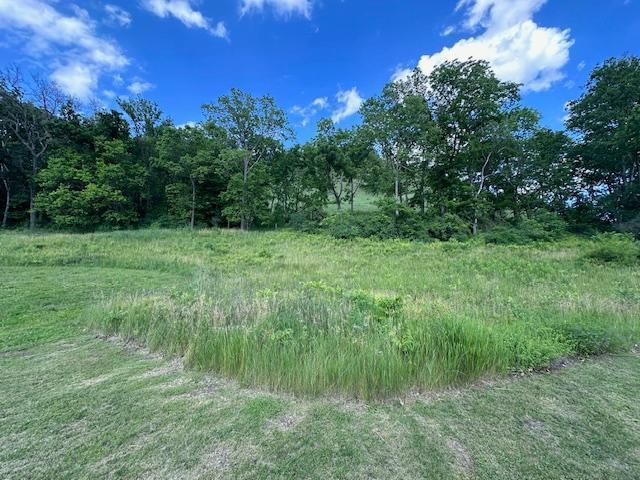 0 Novlan Avenue Property Photo 8