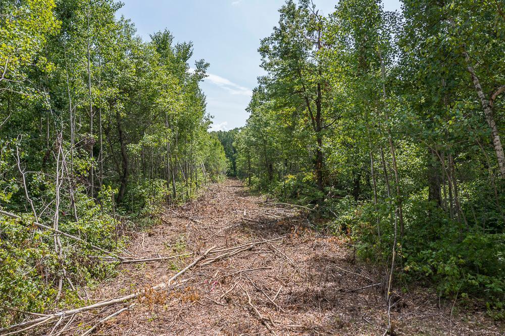 Tract D Polaris Property Photo 3