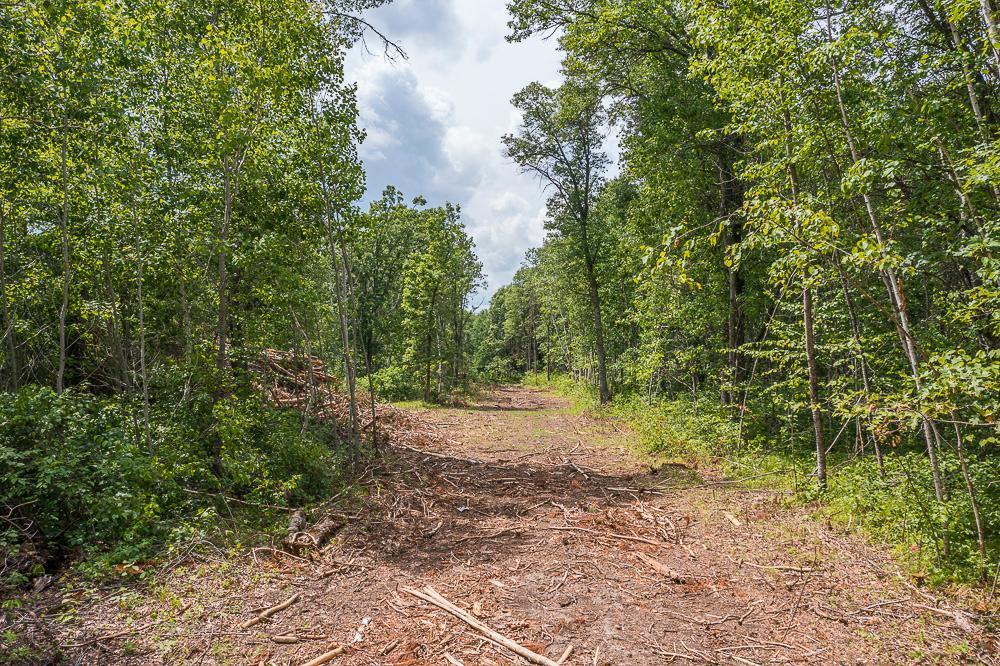 Tract D Polaris Property Photo 23