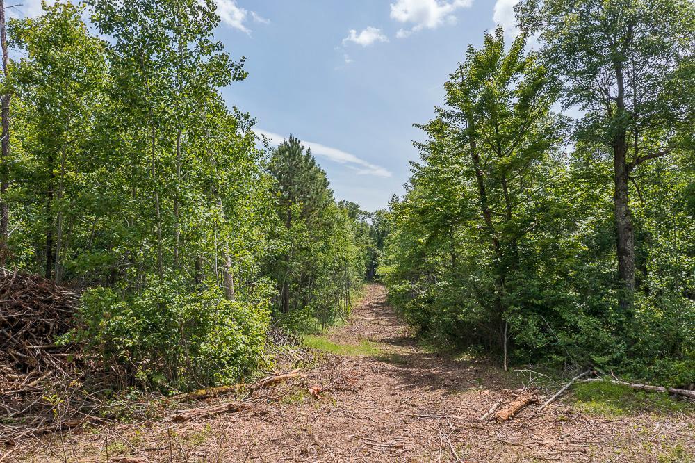 Tract D Polaris Property Photo 24