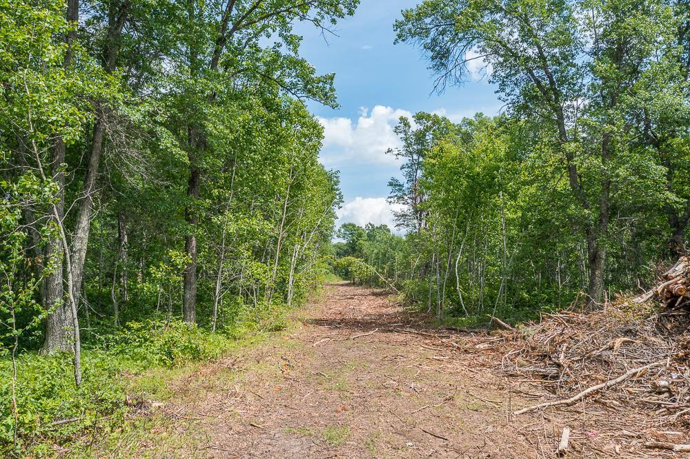 Tract D Polaris Property Photo 25