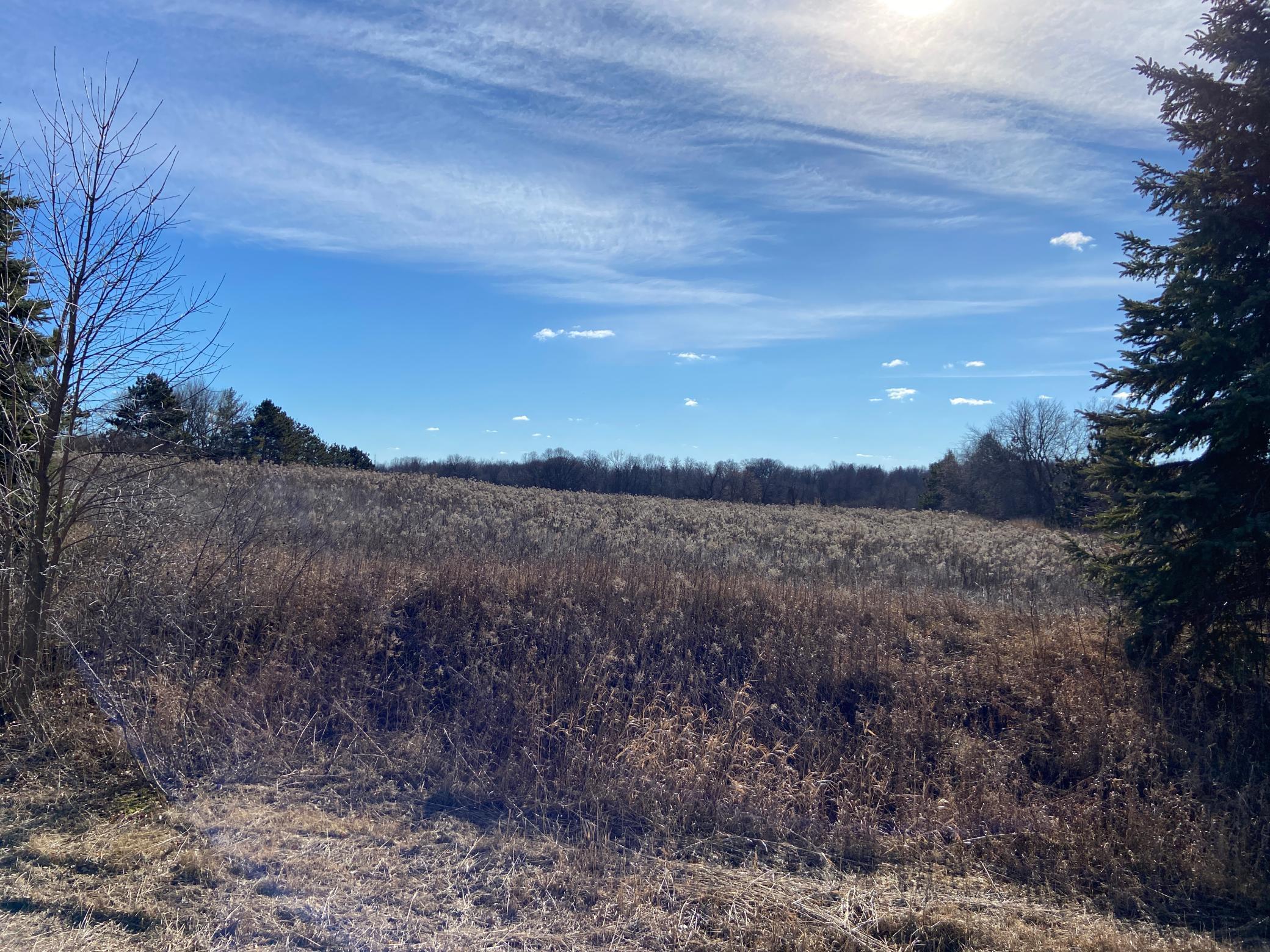 31639 Park Trail Property Photo 1