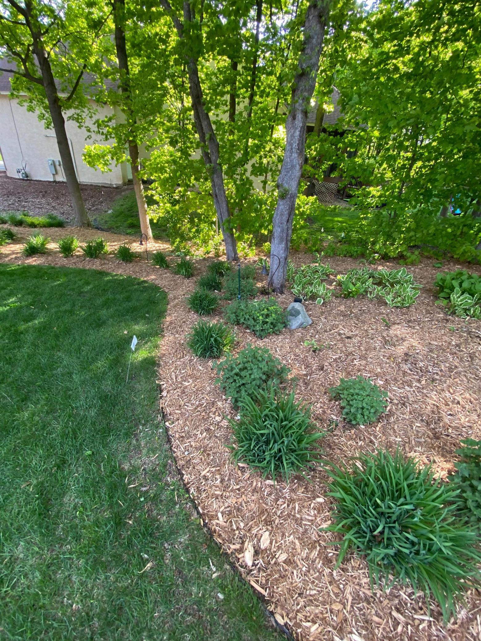 6420 Thornberry Curve Property Photo 57