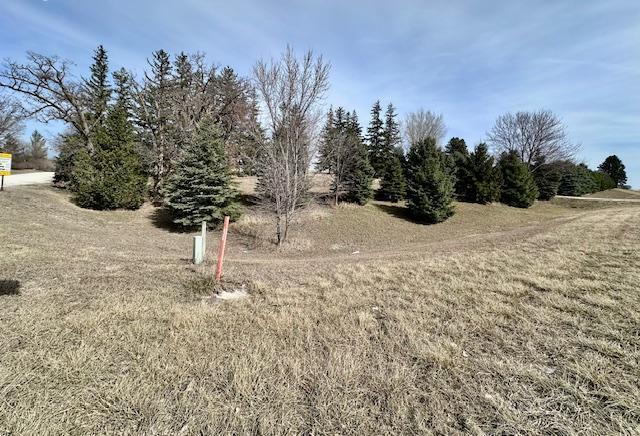 11040 Dove Road Property Photo 8