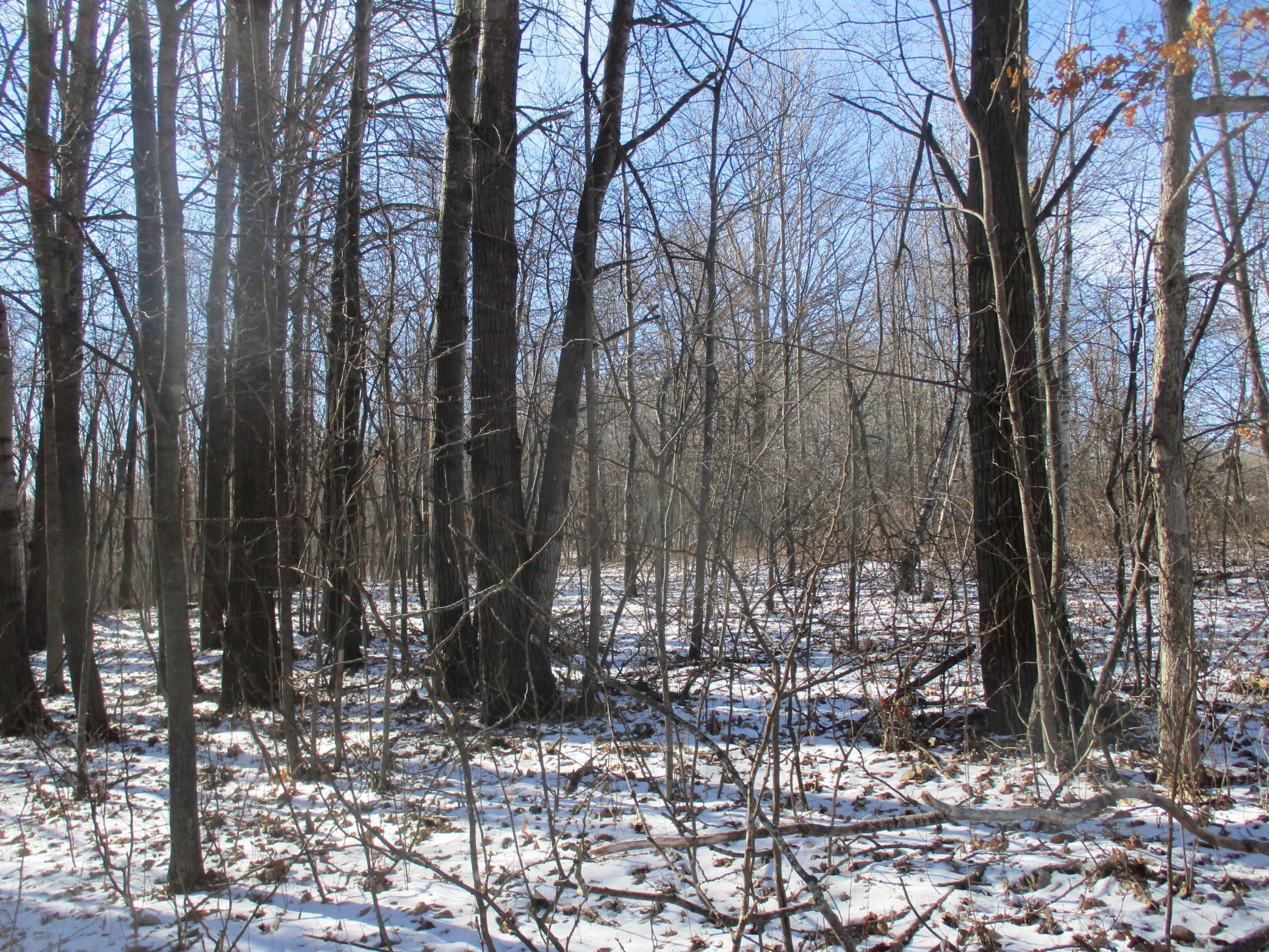 Xxx 590th Property Photo 2