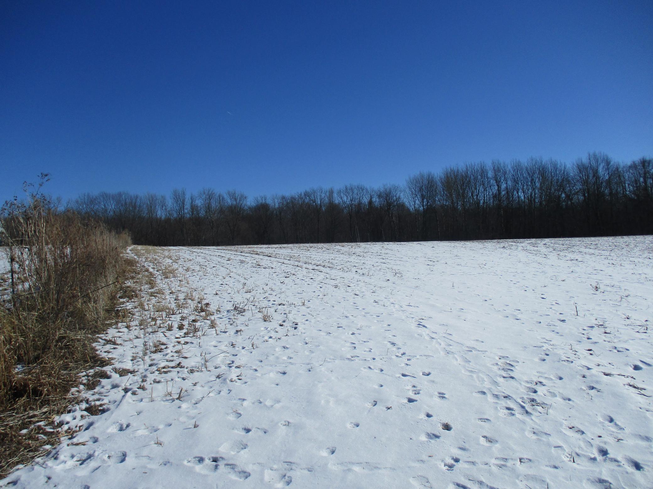 Xxx 590th Property Photo 3
