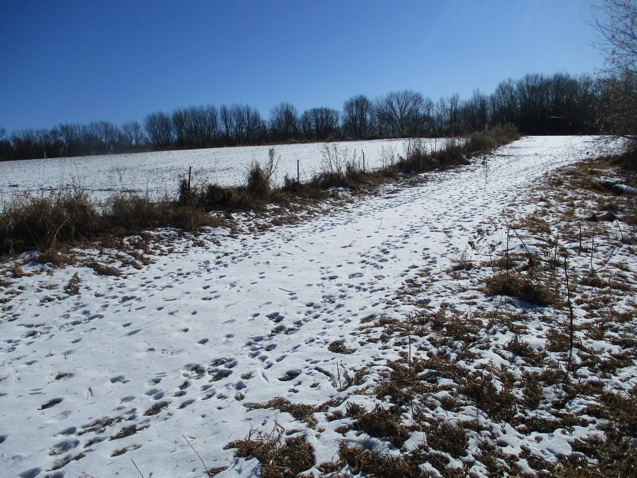 Xxx 590th Property Photo 11