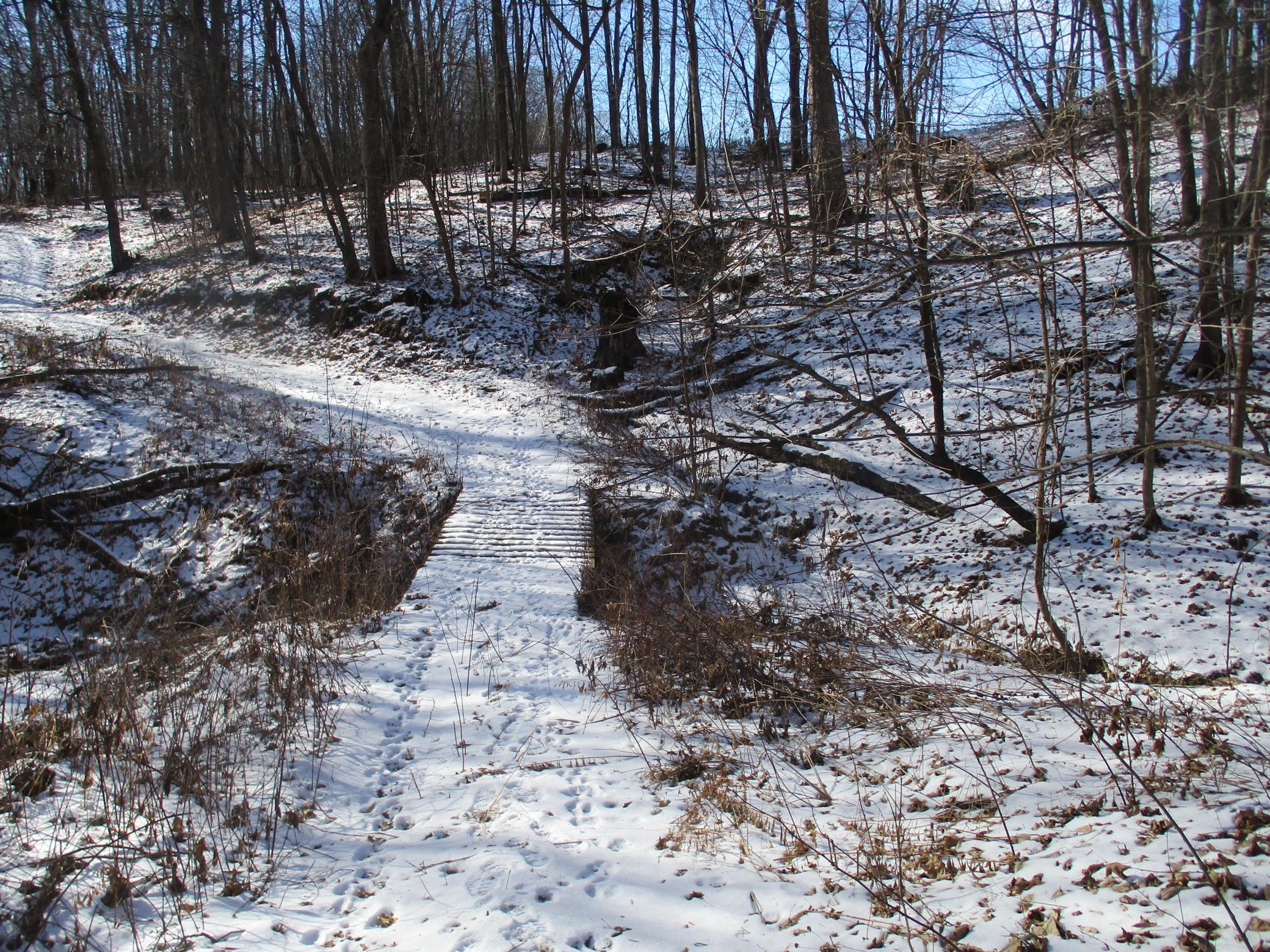 Xxx 590th Property Photo 14