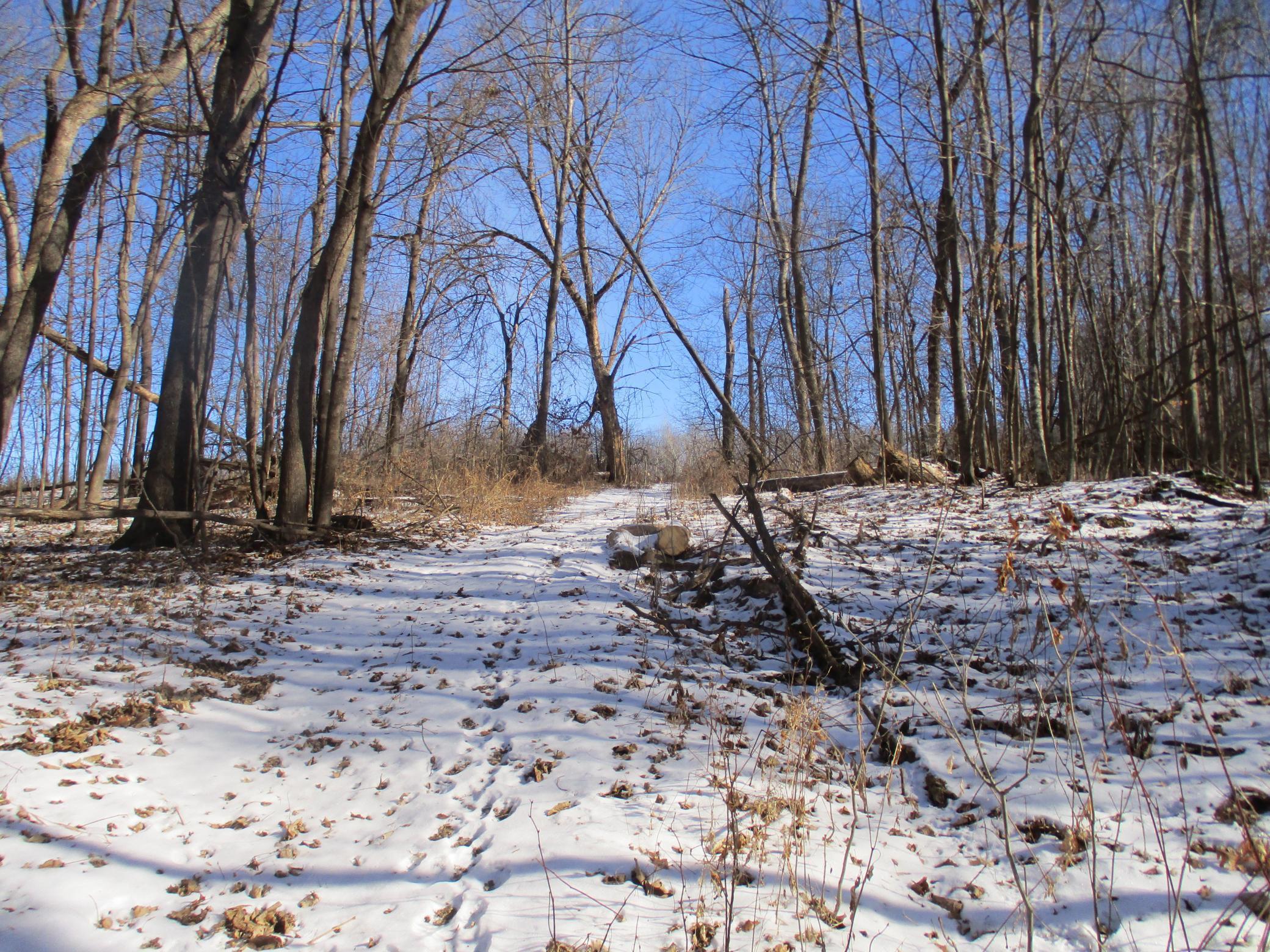 Xxx 590th Property Photo 17