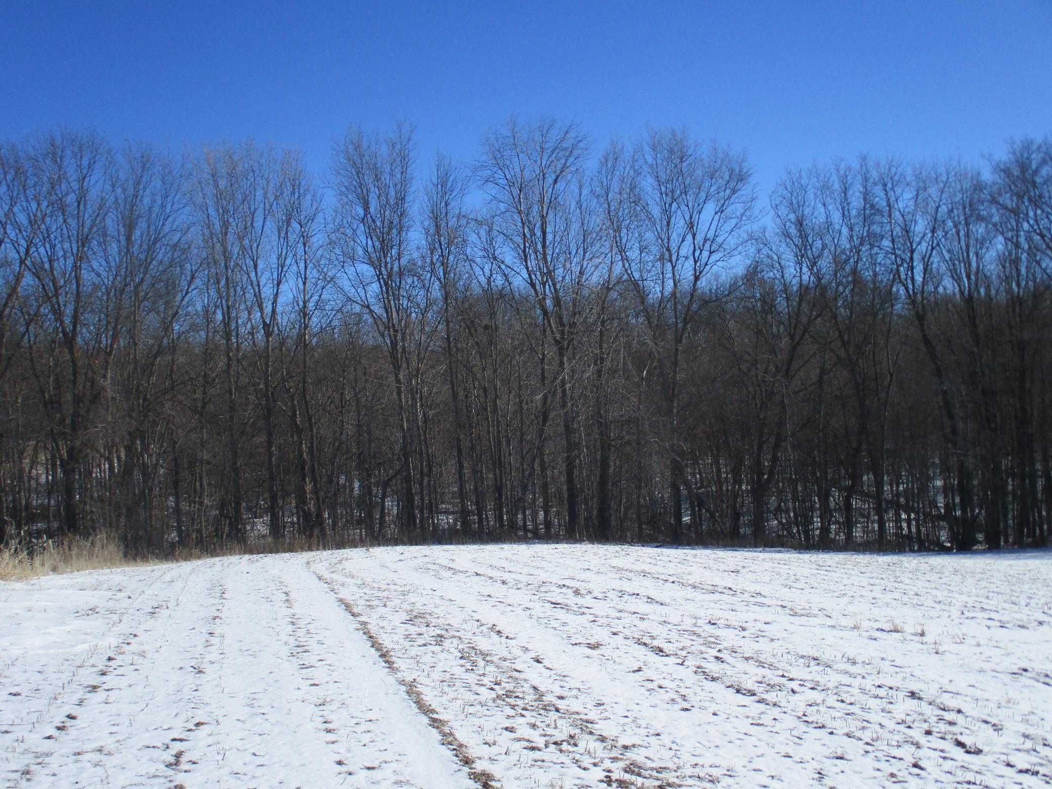 Xxx 590th Property Photo 18