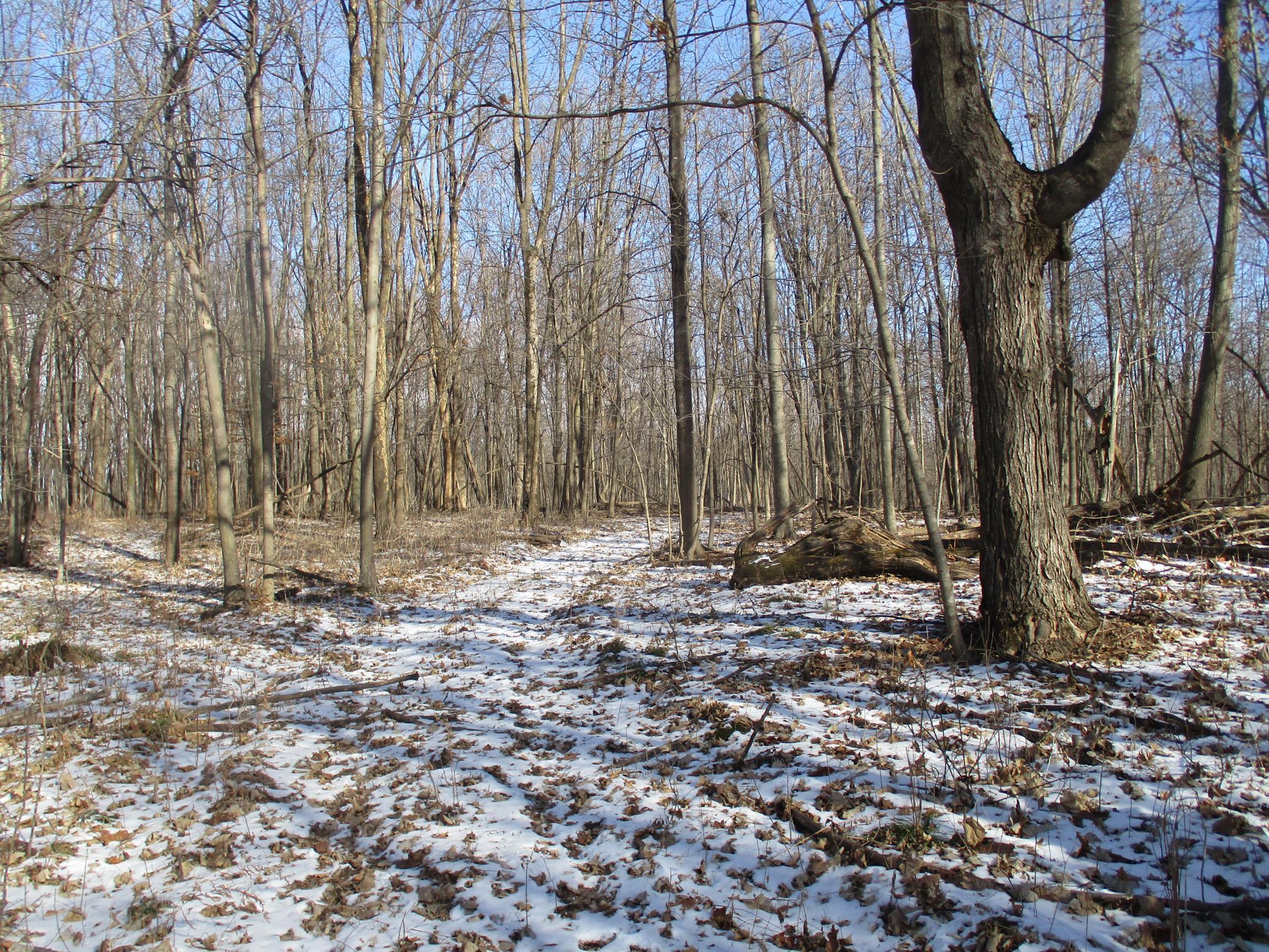 Xxx 590th Property Photo 28