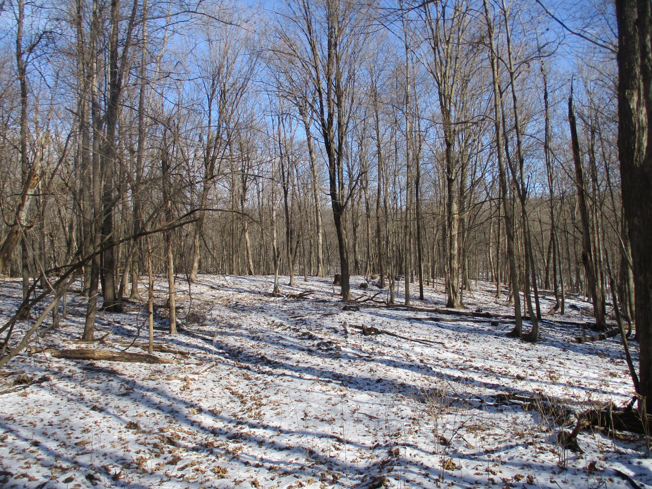 Xxx 590th Property Photo 36