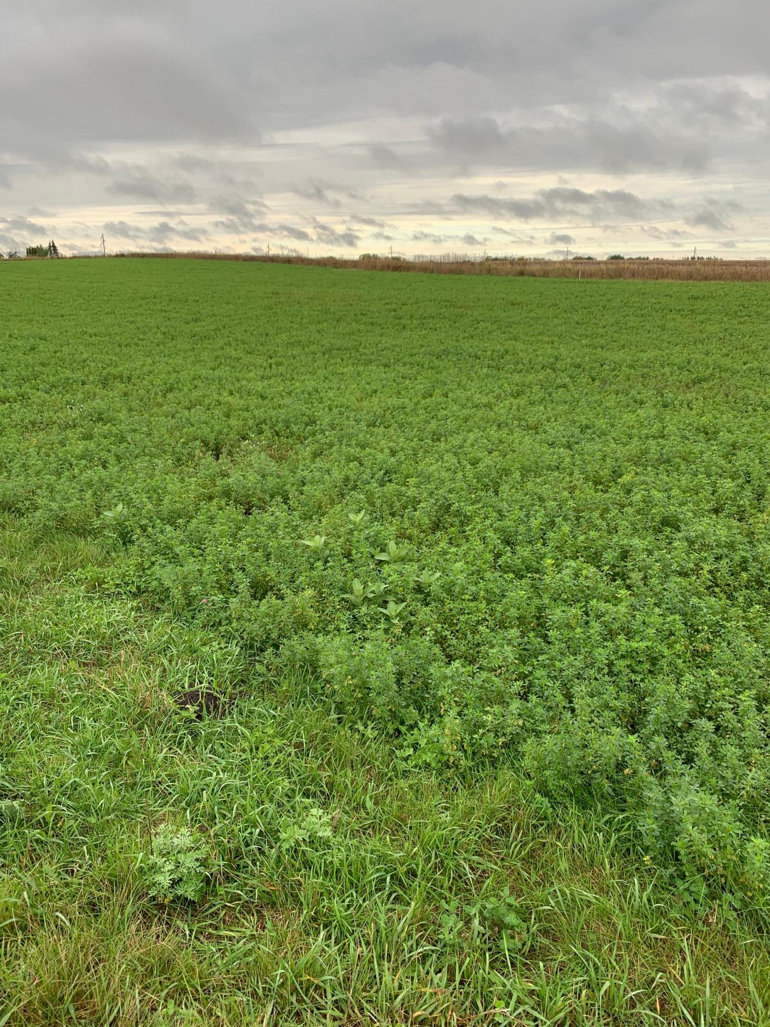 10630 Marty View Circle Property Photo 1