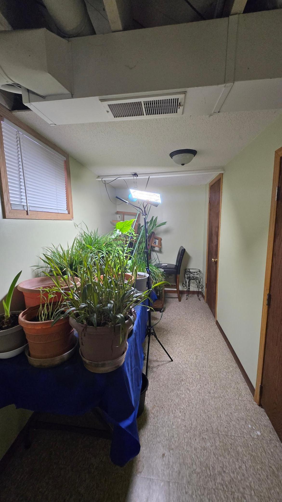 1238 Sheridan Avenue Property Photo 36
