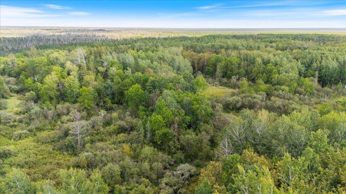 Xxx 1262ac Pine Island State Forest Property Photo 1