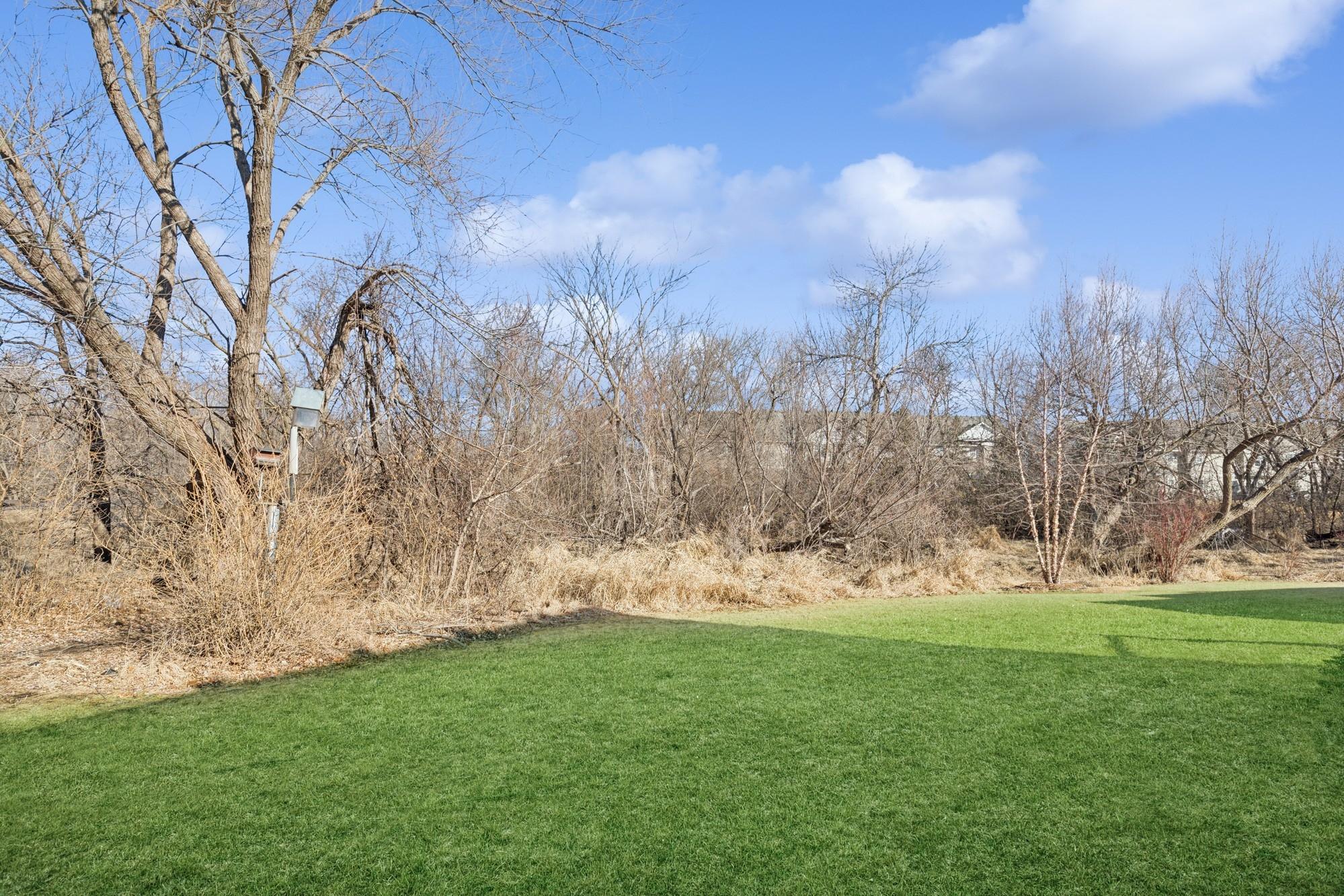 1417 Blue Flag Court Property Photo 22